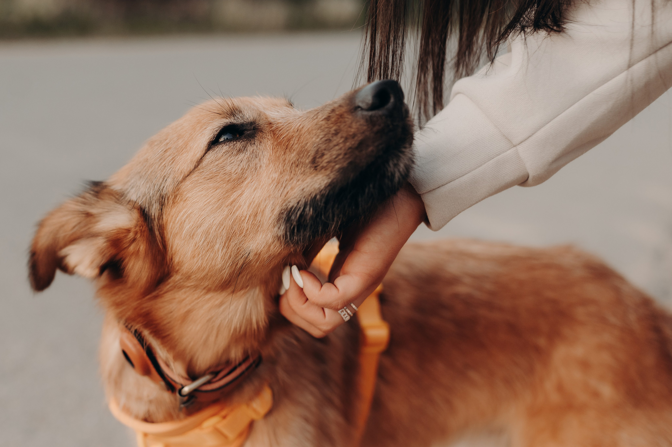 Яна и Санька. Главная