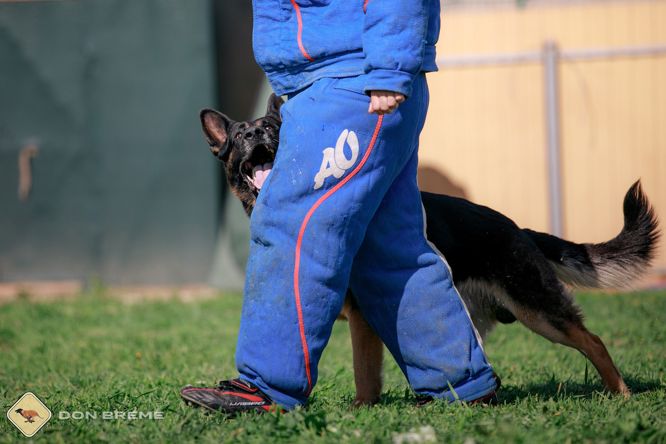 Семинар для фигурантов, день 4. Фотограф-анималист Mary Mart — Москва, Питер
