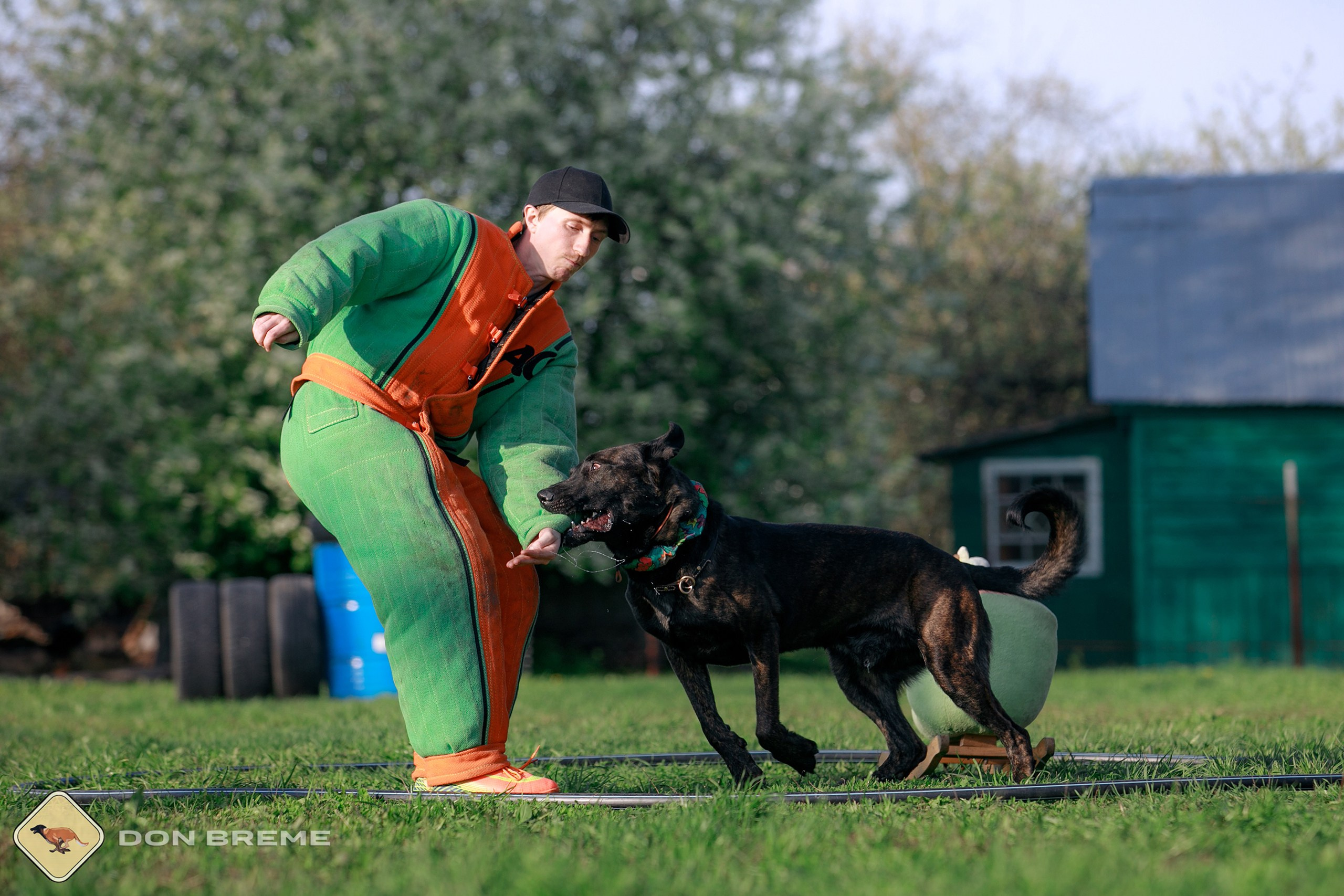 Семинар для фигурантов, день 4. Фотограф-анималист Mary Mart — Москва, Питер