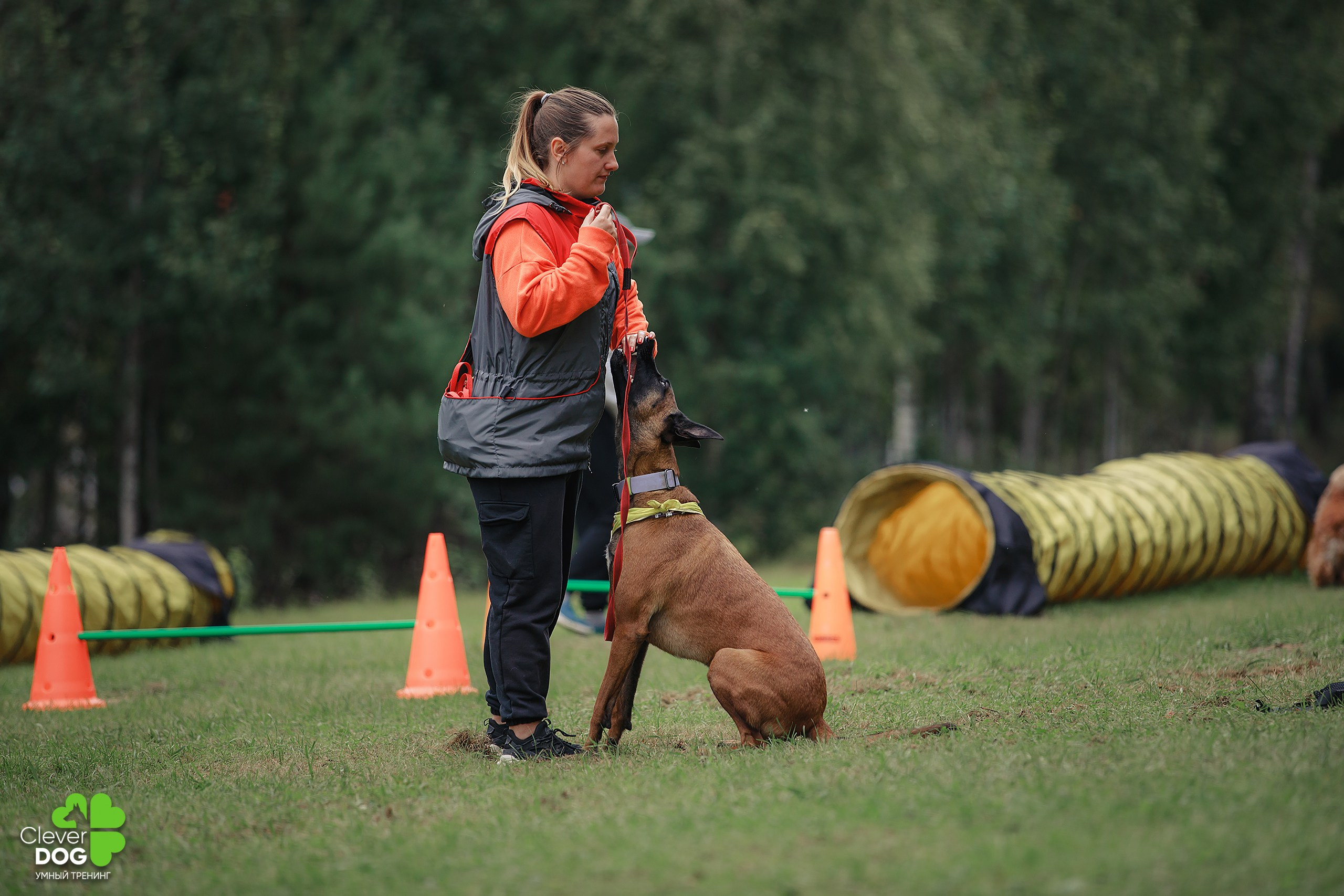 Кинологический лагерь CleverDog, 2024. Фотограф-анималист Mary Mart — Москва, Питер