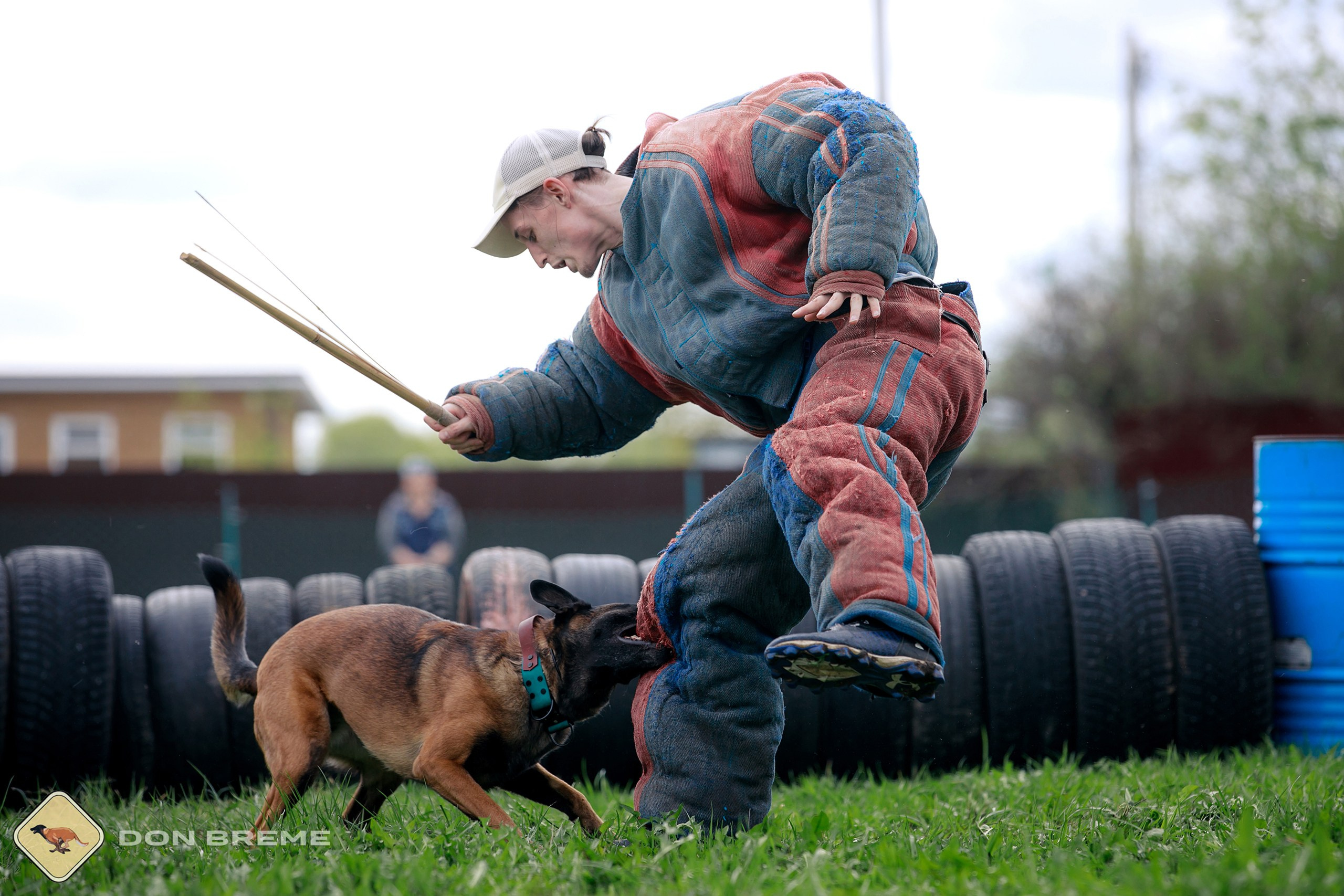 Семинар для фигурантов, день 2. Фотограф-анималист Mary Mart — Москва, Питер