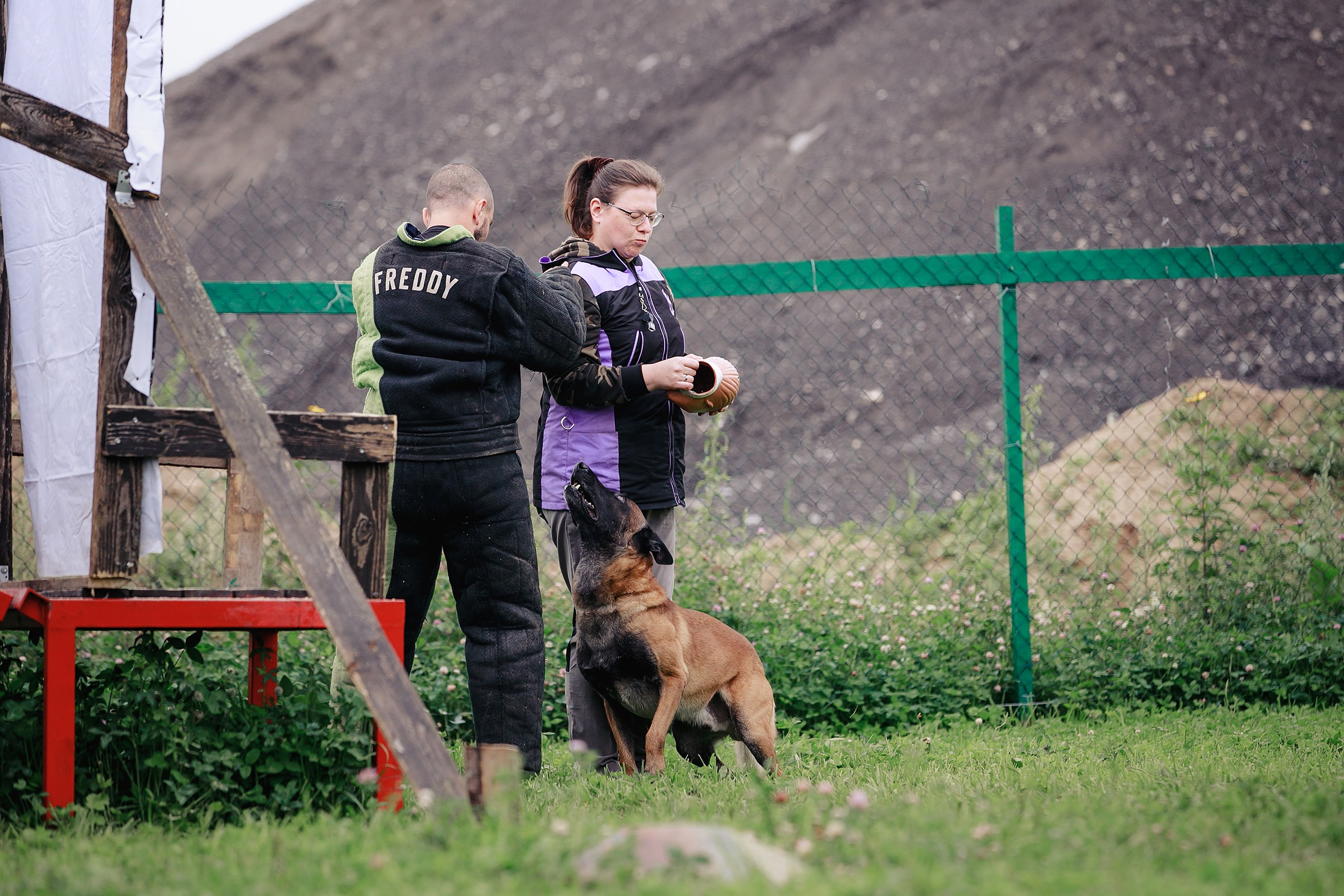 Мондьоринг М1, М2, М3, Вологда. Фотограф-анималист Mary Mart — Москва, Питер