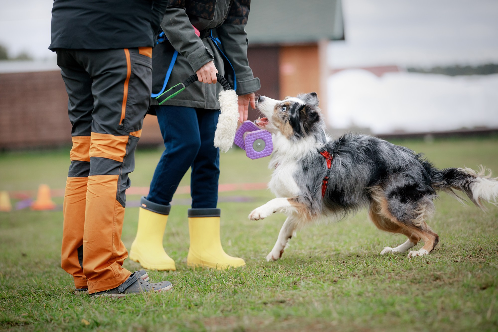 Лагерь по ОБД с Инной Баженовой. Фотограф-анималист Mary Mart — Москва, Питер