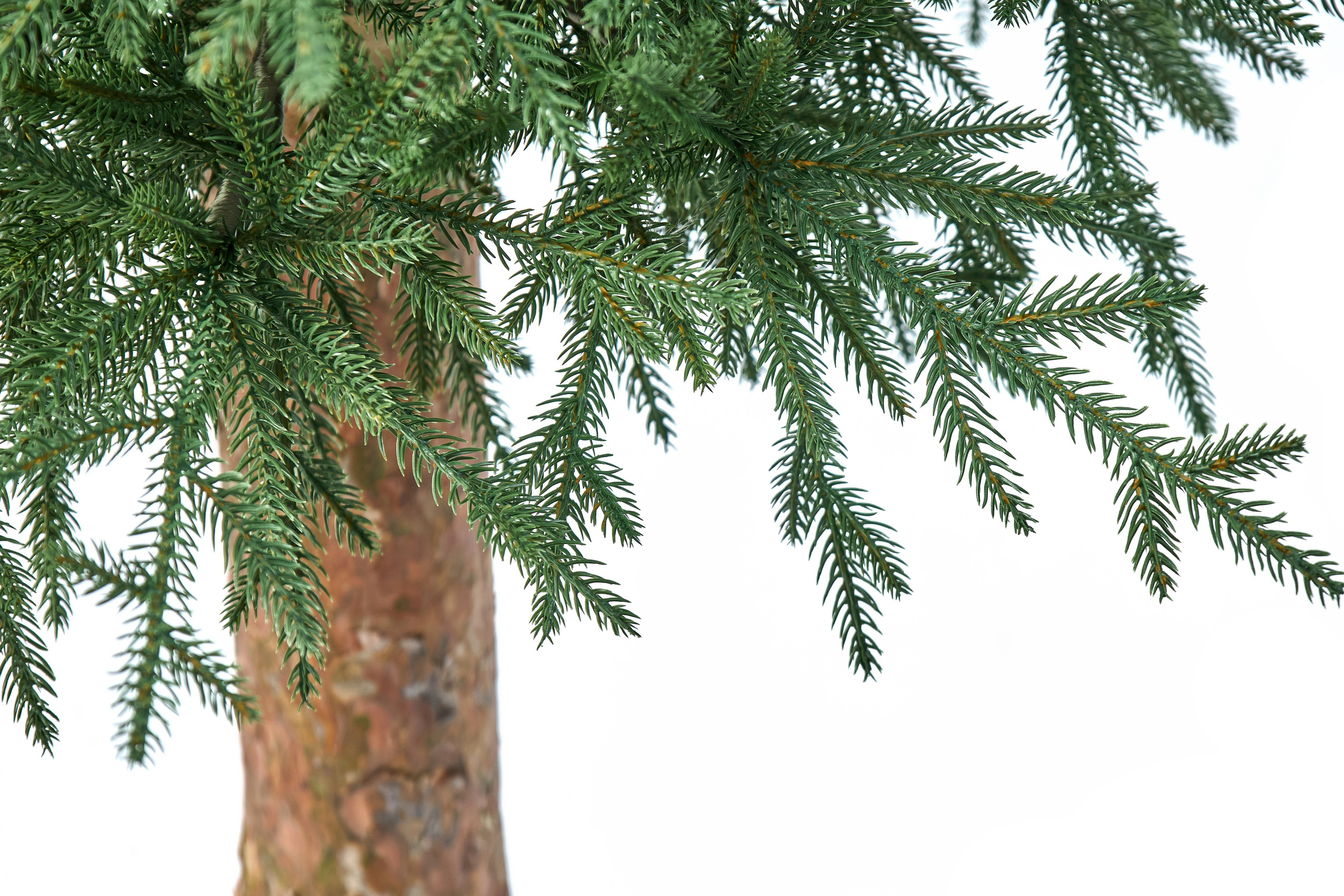 Искуственные ели и сосны. Выведите свои товары на новый уровень с профессиональной предметной фотографией. Предметный фотограф Юлия Кравченко