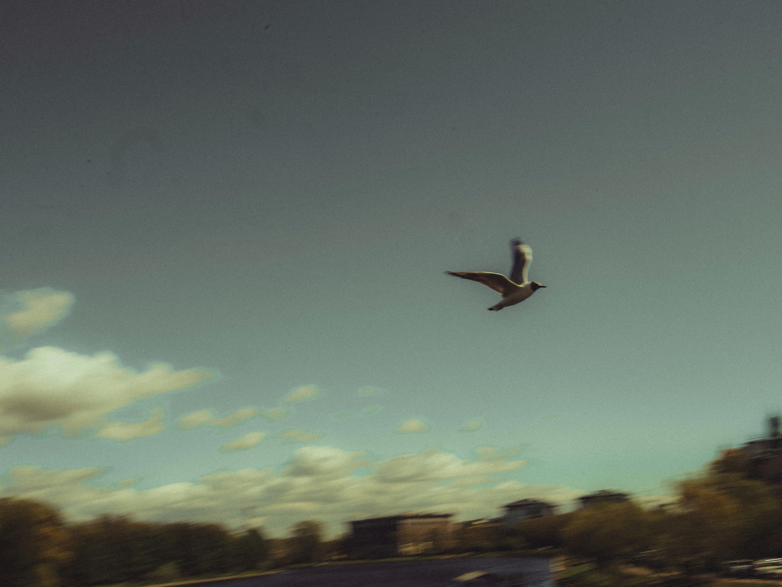 Природа &. Фотохудожник в СПб