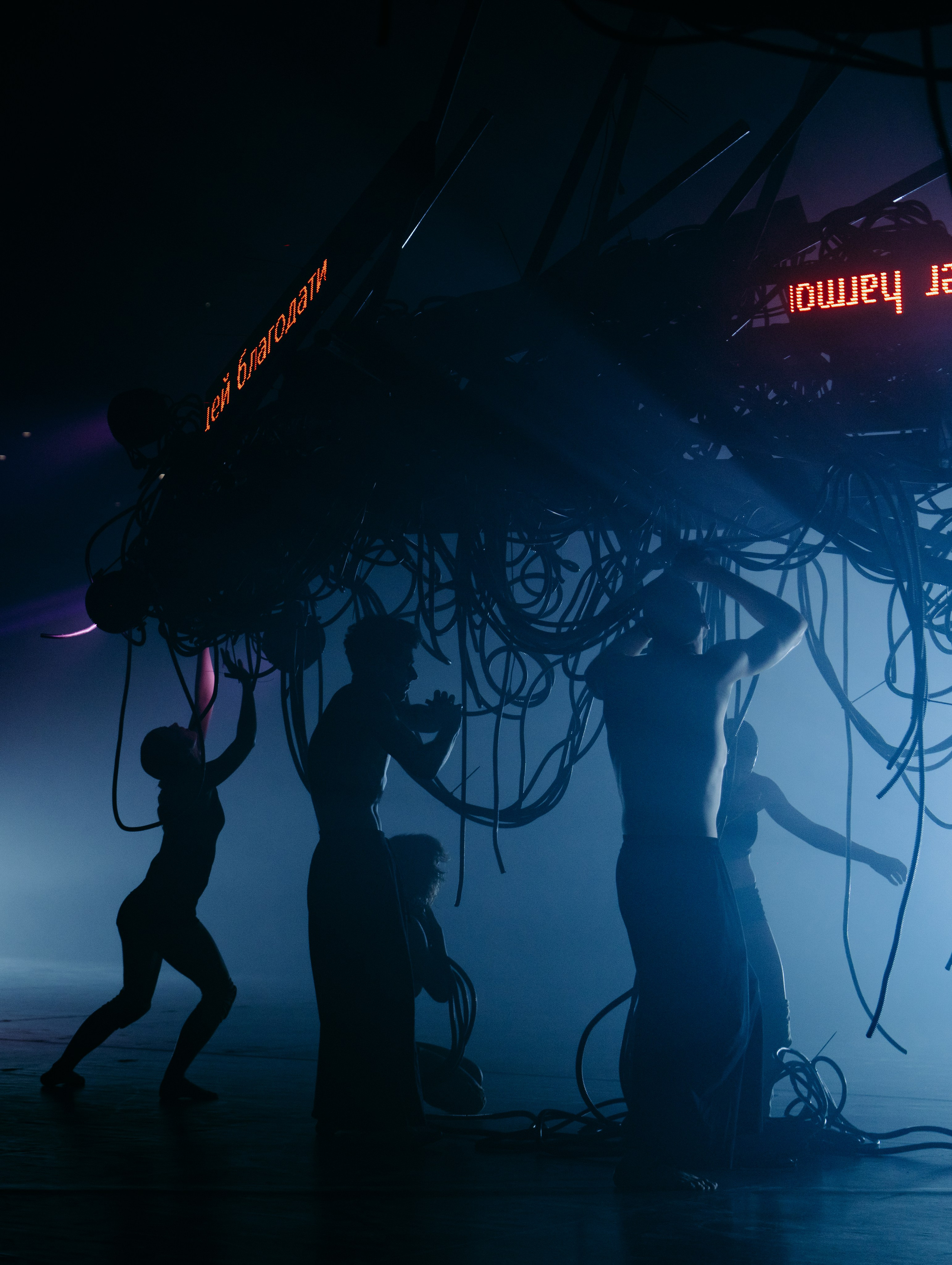 PERFORMA, The Hour of the Horse. @tomrus: Рустам Шагиморданов — фотограф