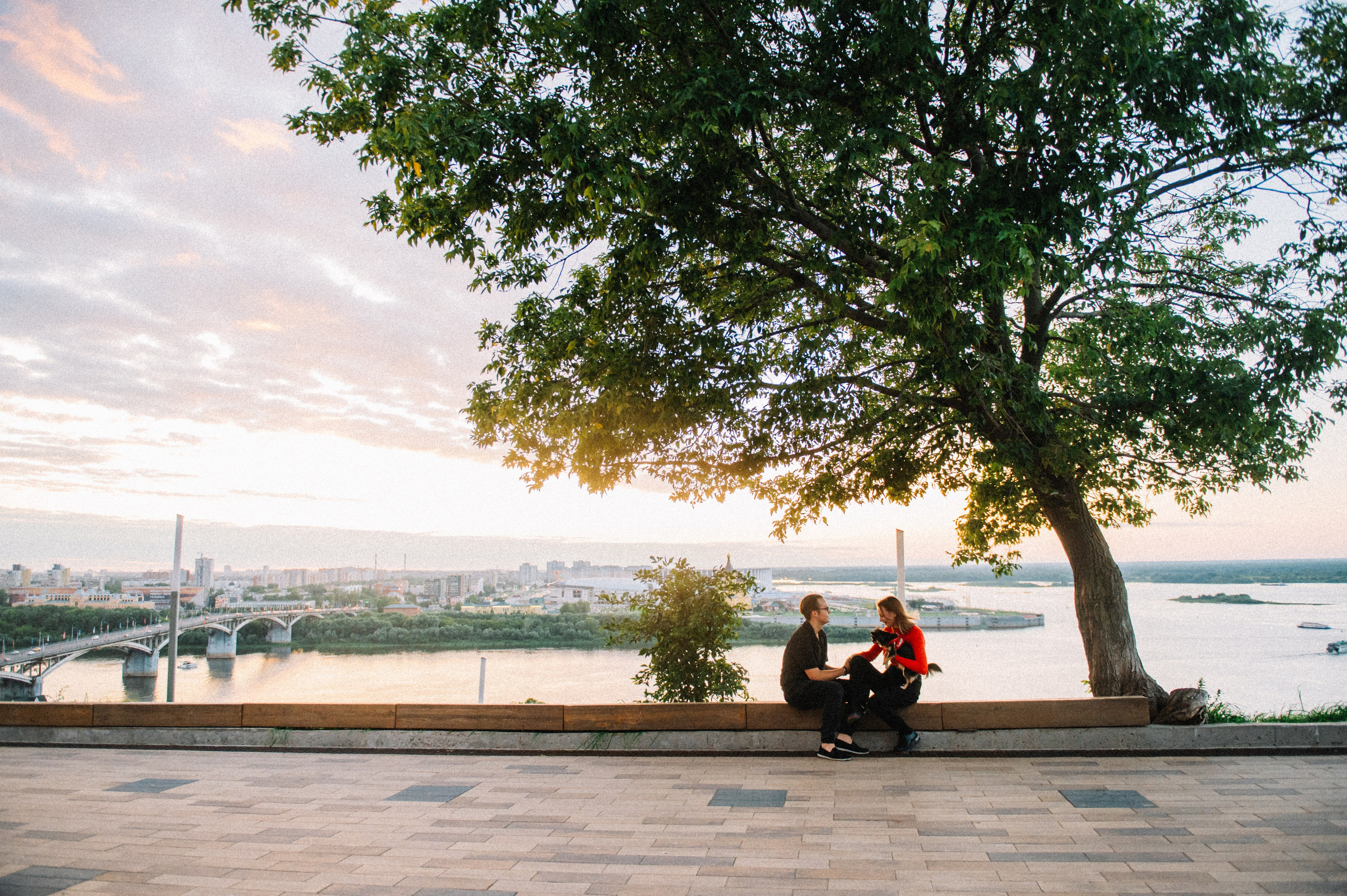 Лера, Илья и чихуахуа Наоми (Нижний Новгород, 2024). Анна Пушина, фотограф, Москва, Королев, Пушкино
