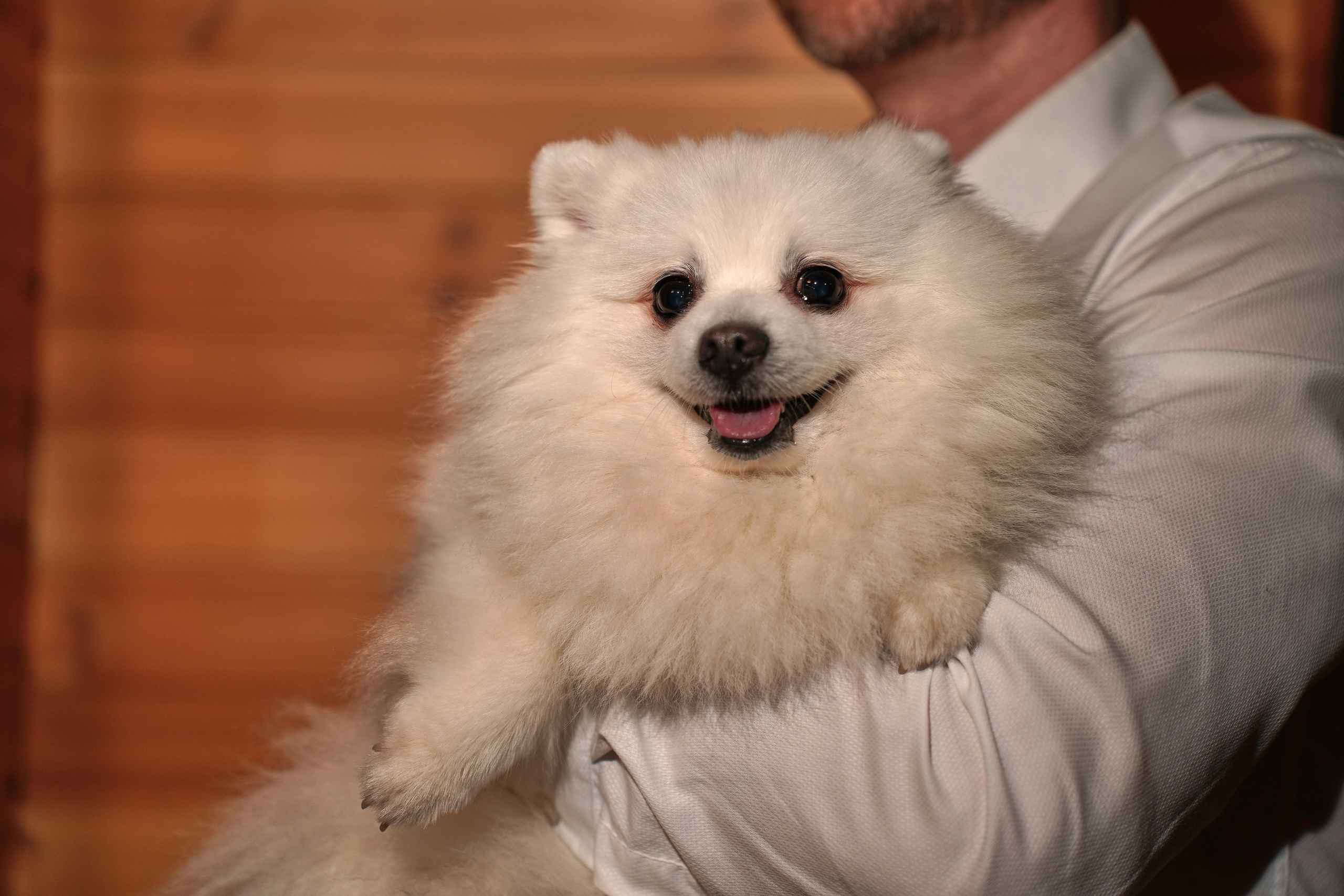 День Рождения Алексей. Фотограф