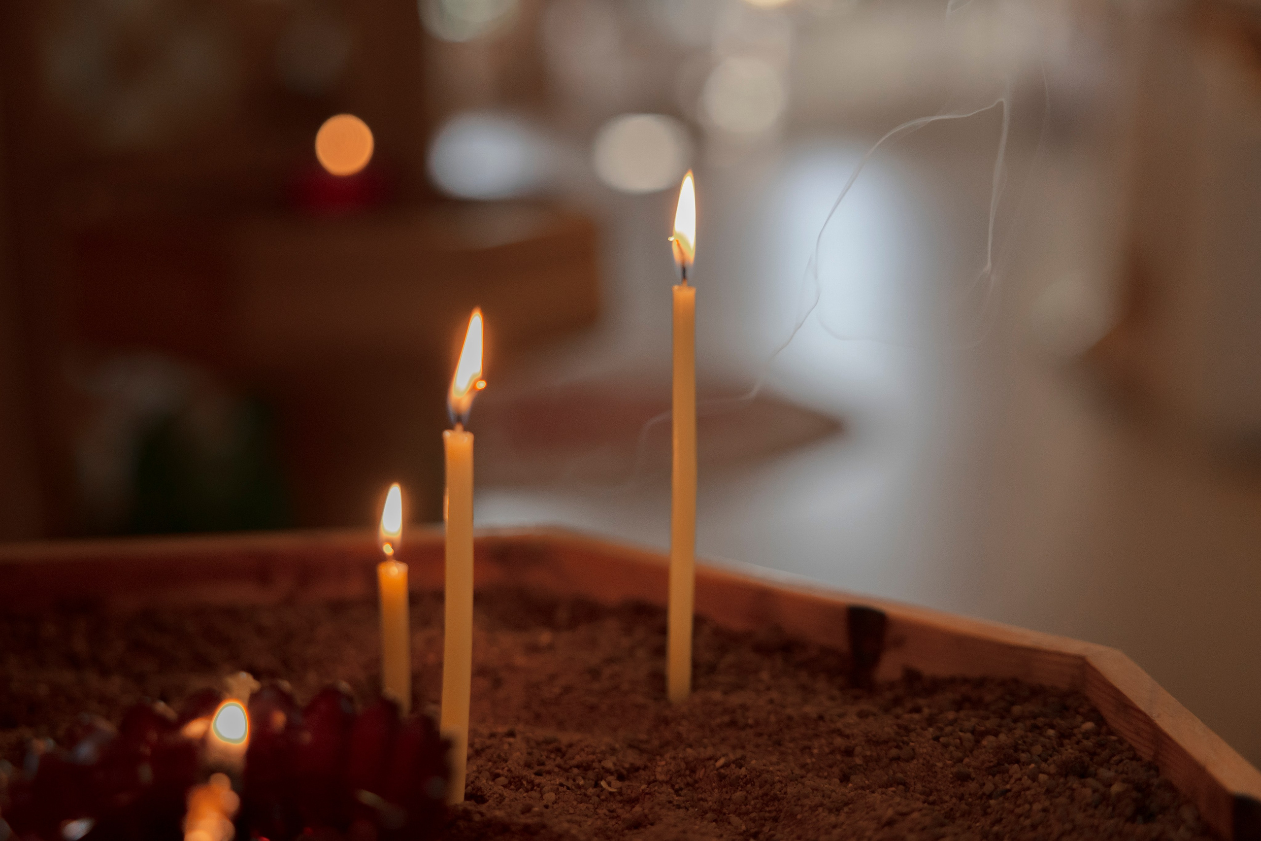 Объект охраняется (Рома&Саша). Wed Photographers 📷 Saint Petersburg