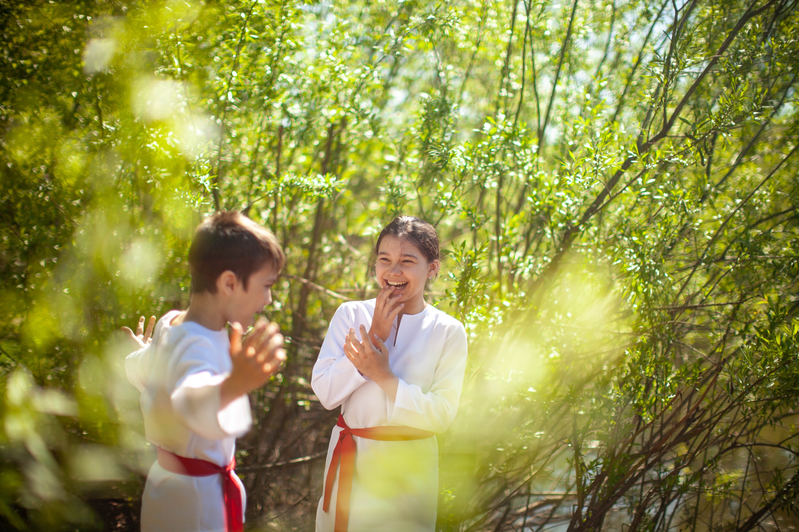 Летний день. Art my Pho