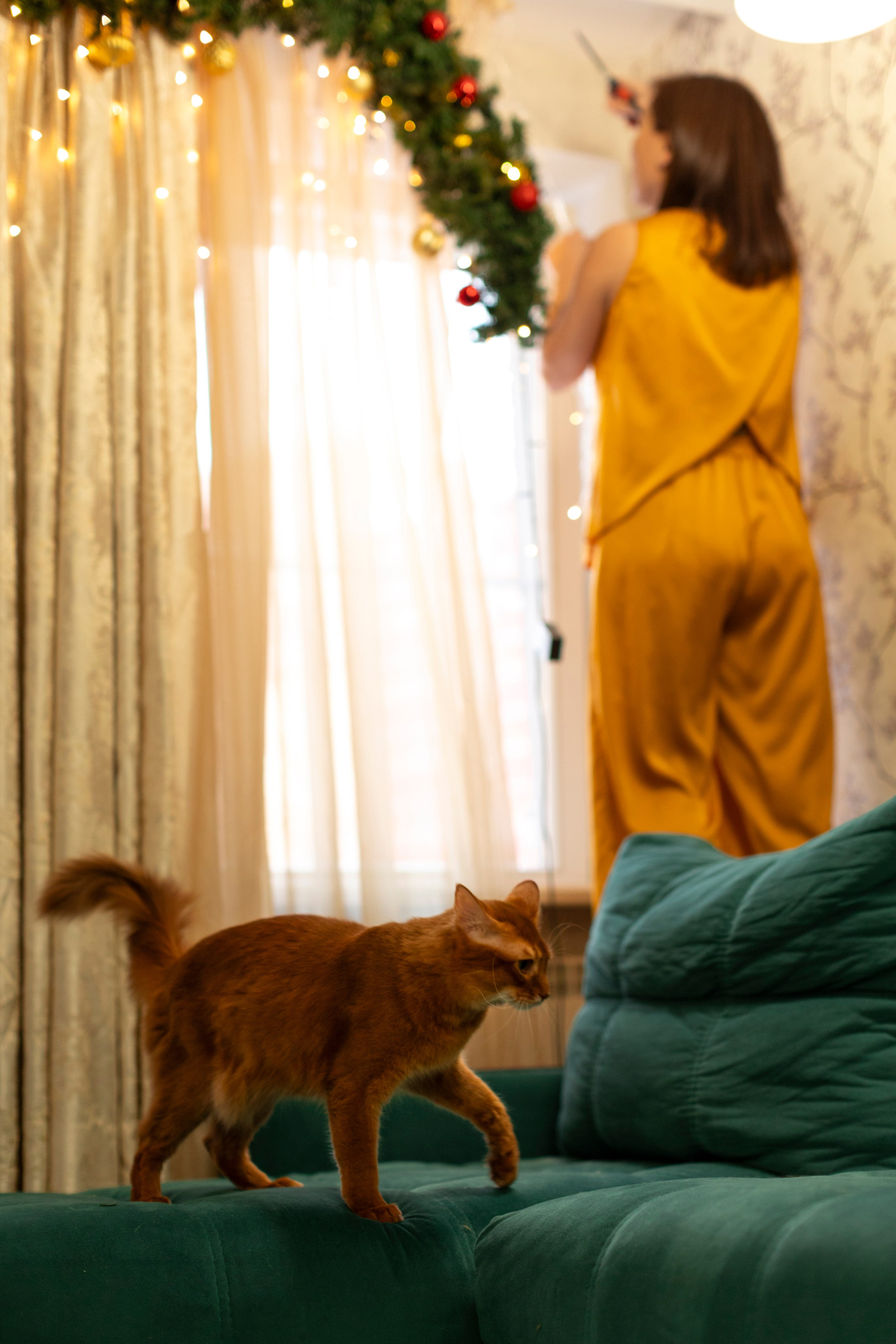 Сомали. Art my Pho