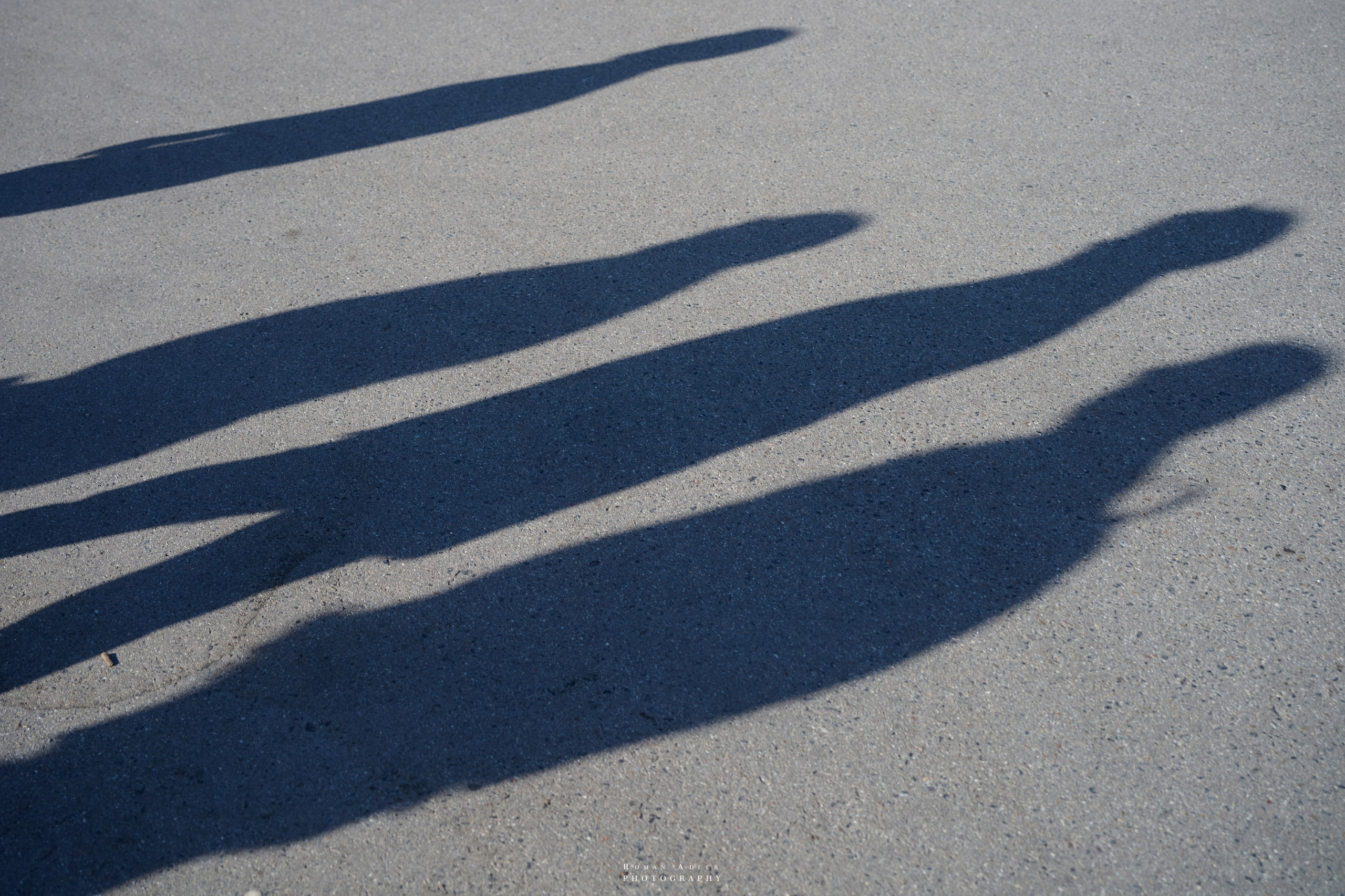 Мини путешествие в Коломну. Сентябрь 2024. Фотограф Роман Адлер