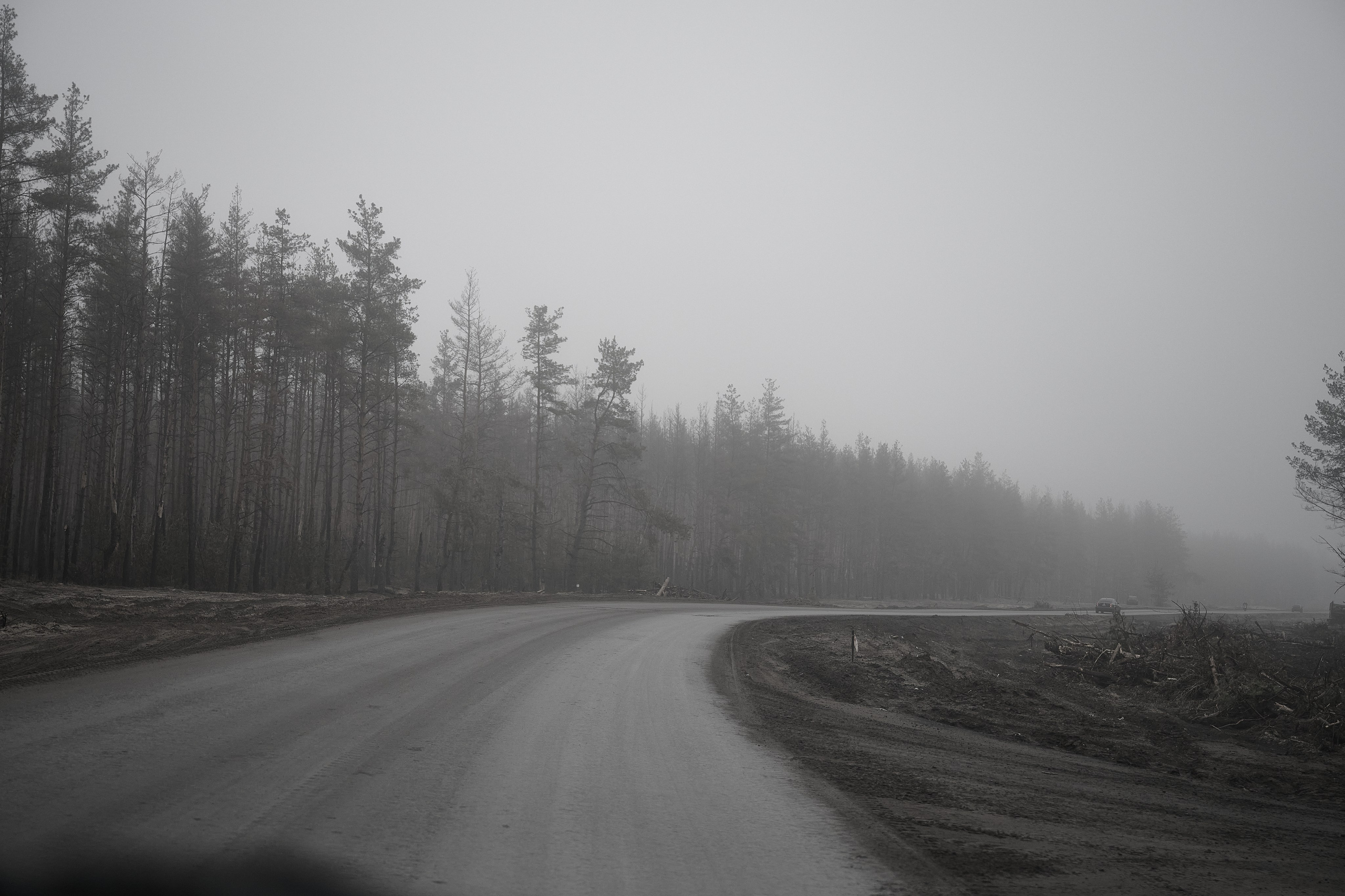 Дорога домой. Туман. Фотограф Роман Адлер