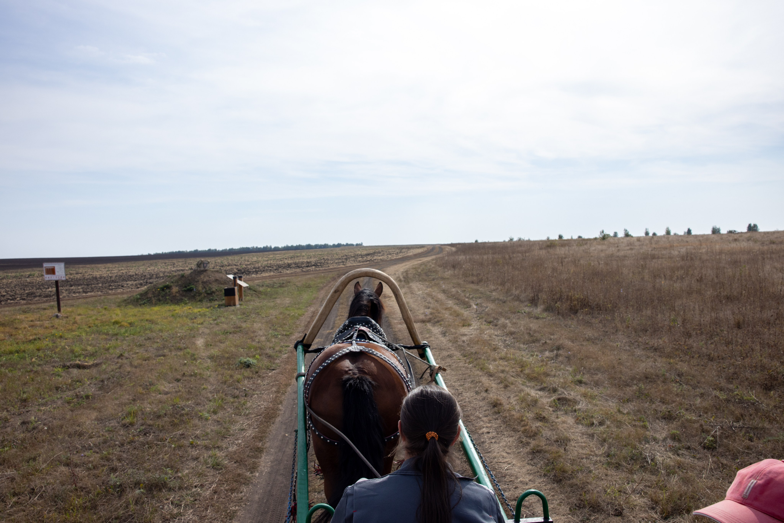 Поездка на поле Кулеково. Фотограф в Туле Крупский АнДРей. Фотостудия «КАДР71» в Туле