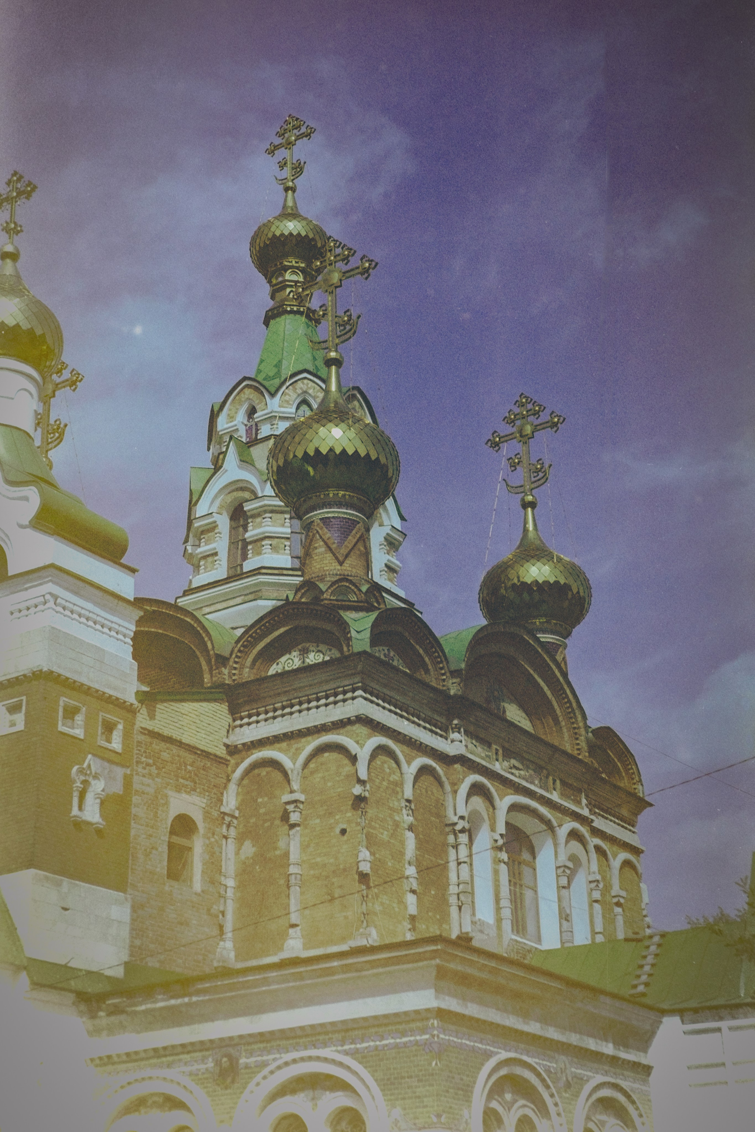 Пленочная история. Дмитрий Пропадалин, Нейрофотография