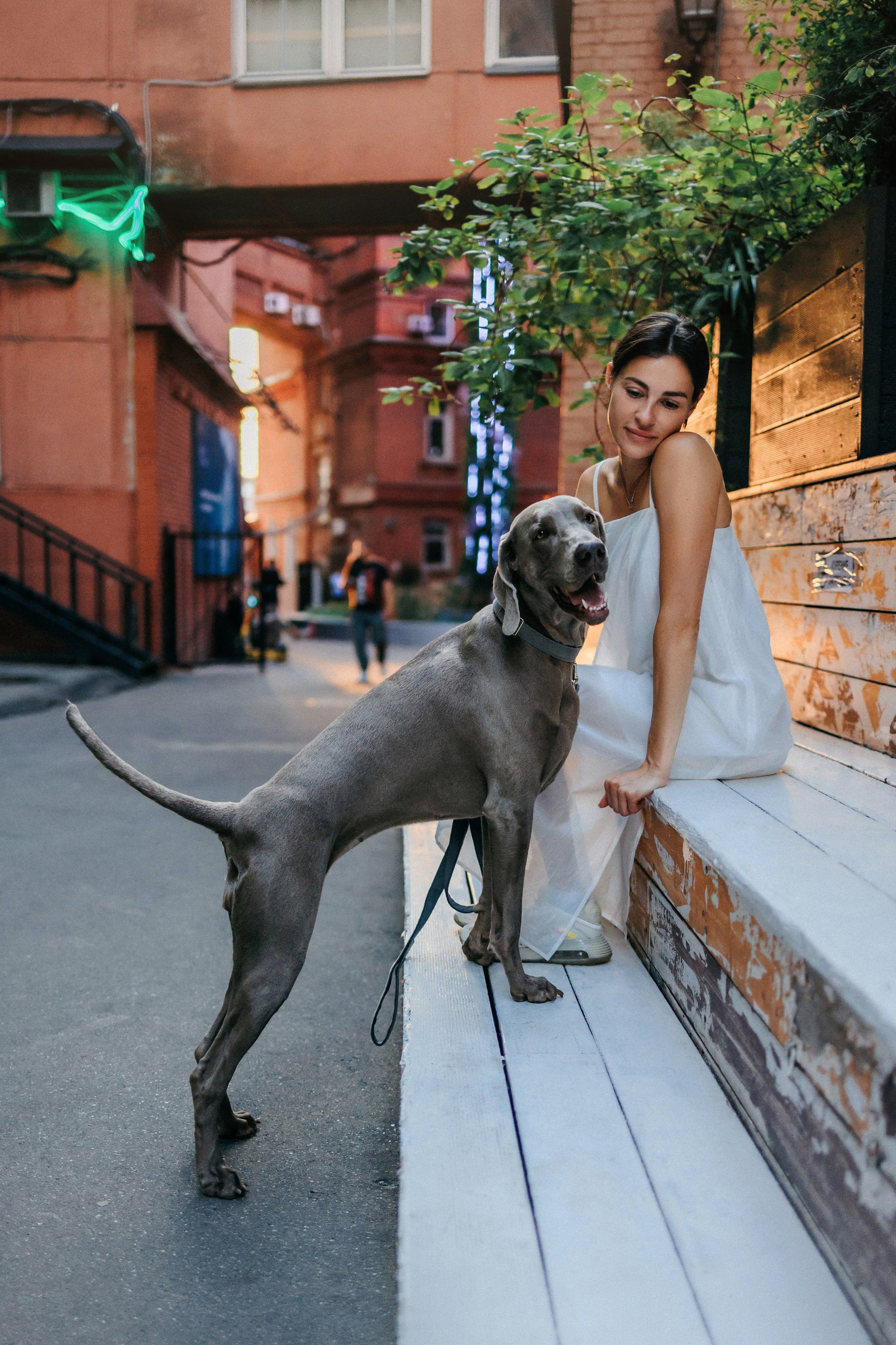 Соня и Майли. Фотограф-анималист Елена Радченко, Москва