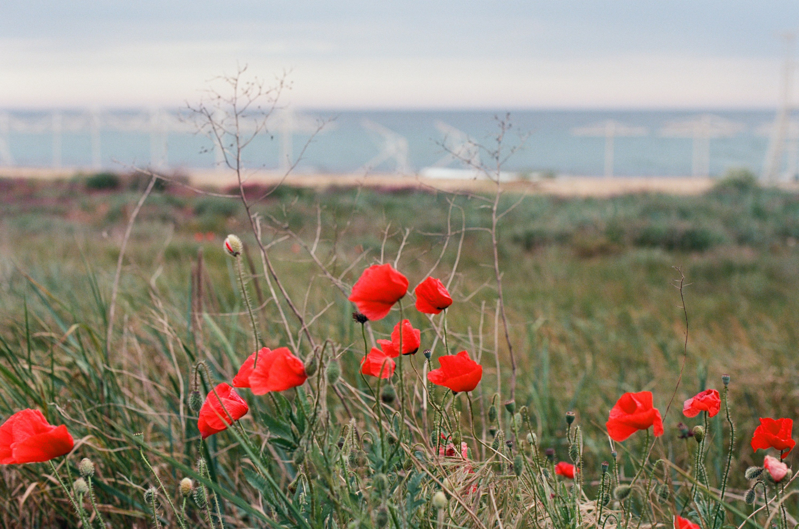 The drugs don't work // ukraine, crimea III. EVER EXPOSED