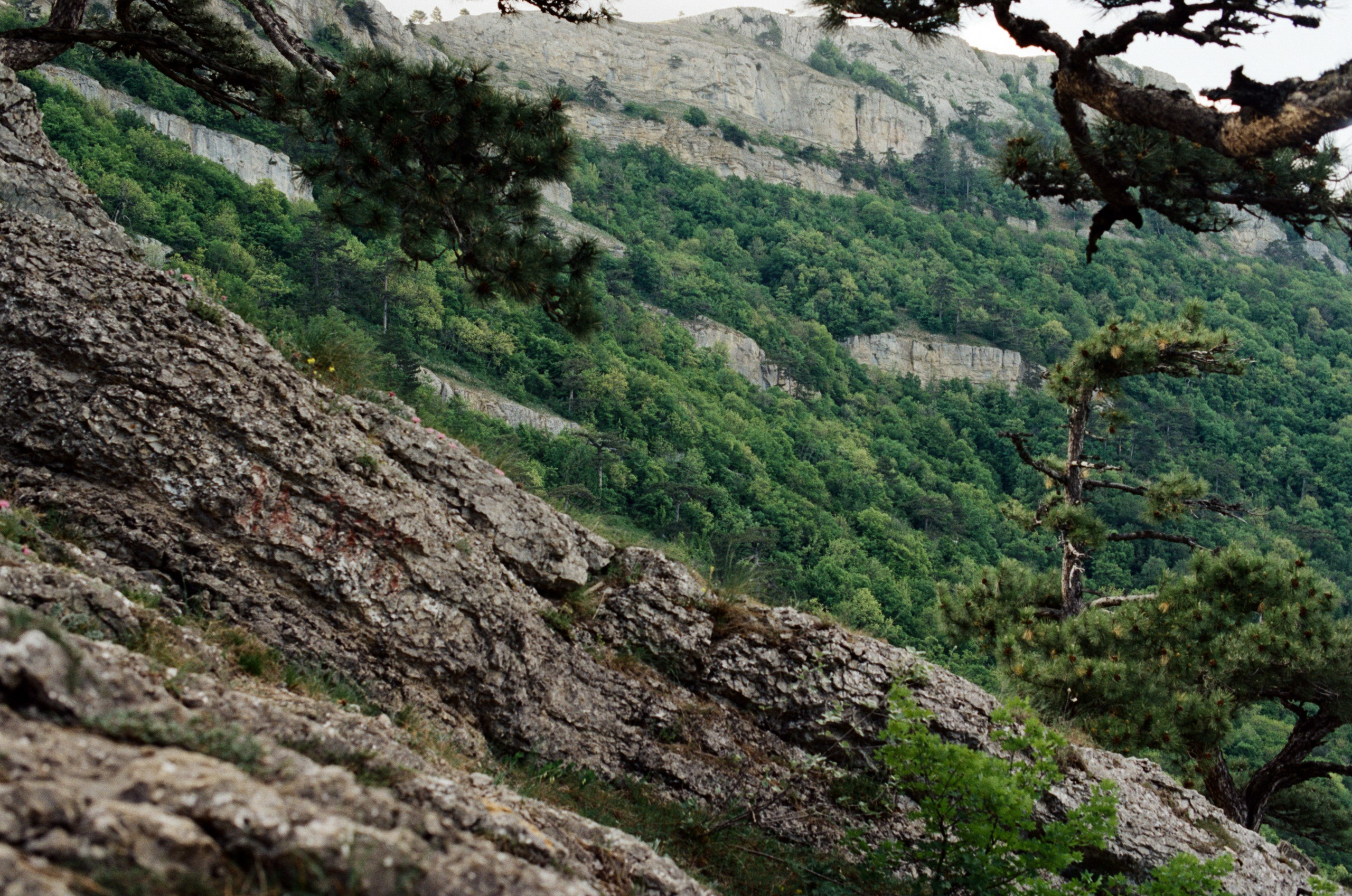 Silver strings // ukraine, crimea VIII. EVER EXPOSED