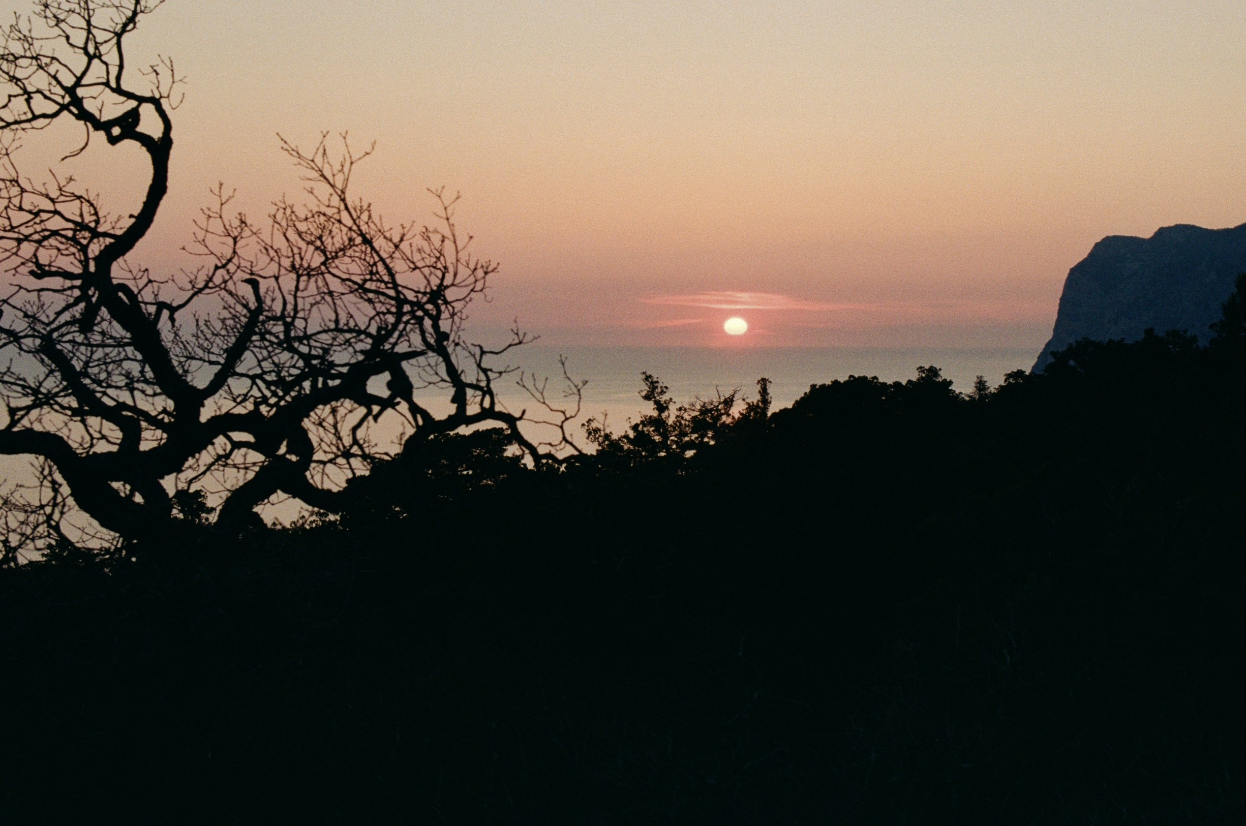 Some kind of madness // ukraine, crimea II. EVER EXPOSED
