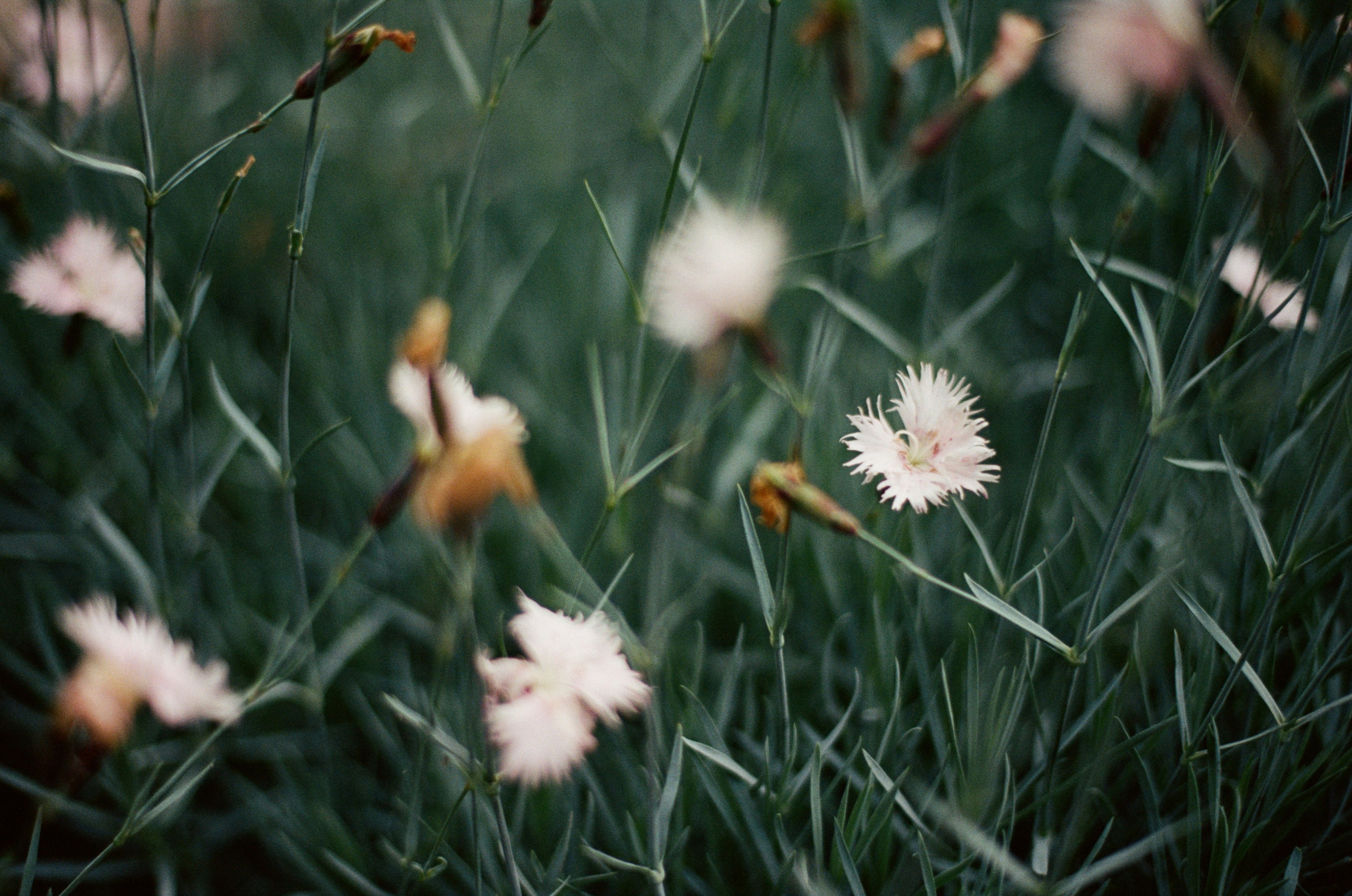 This time // ukraine, crimea V. EVER EXPOSED