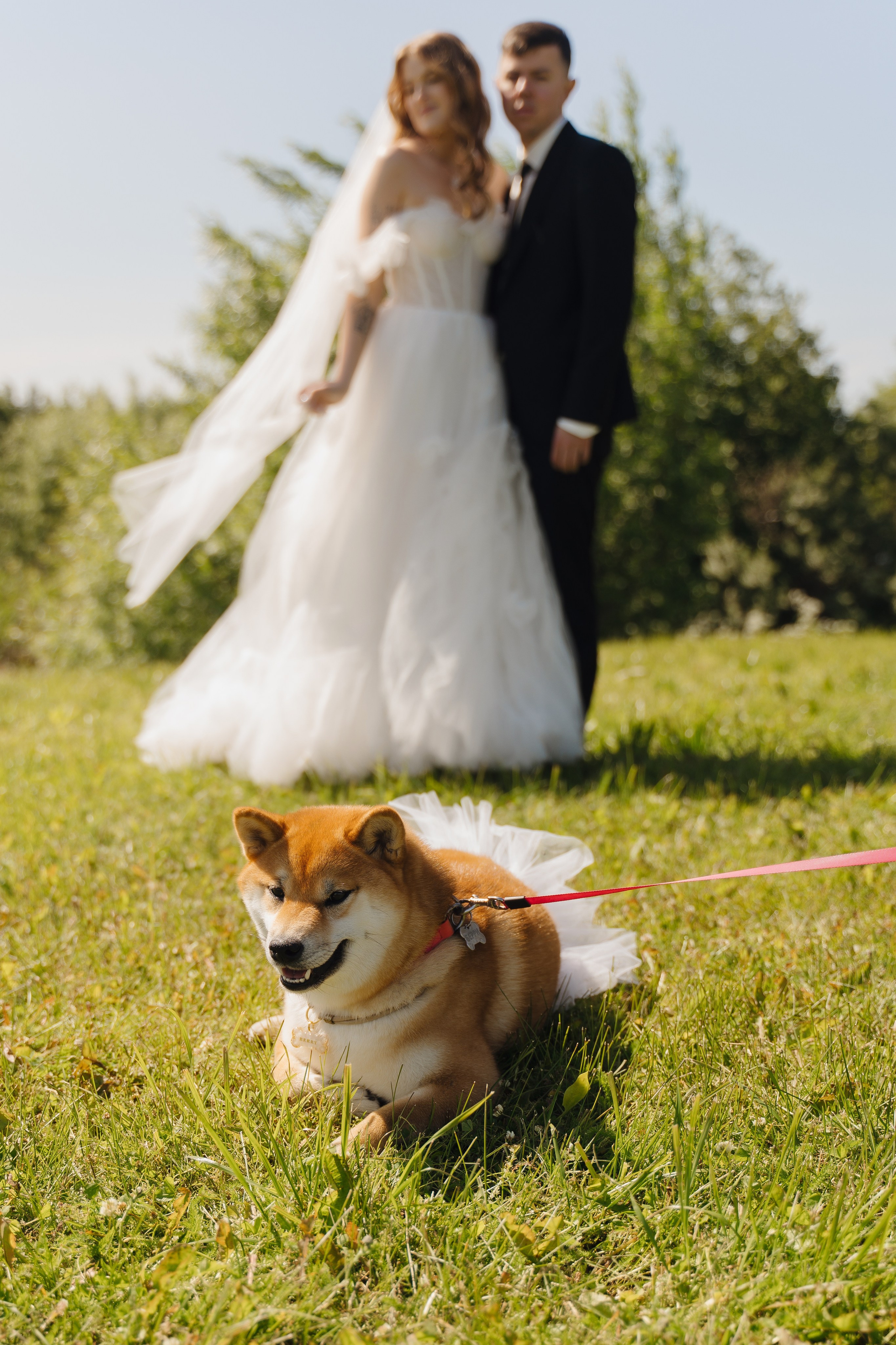 V|M. Семейный, свадебный и лавстори фотограф в Архангельске
