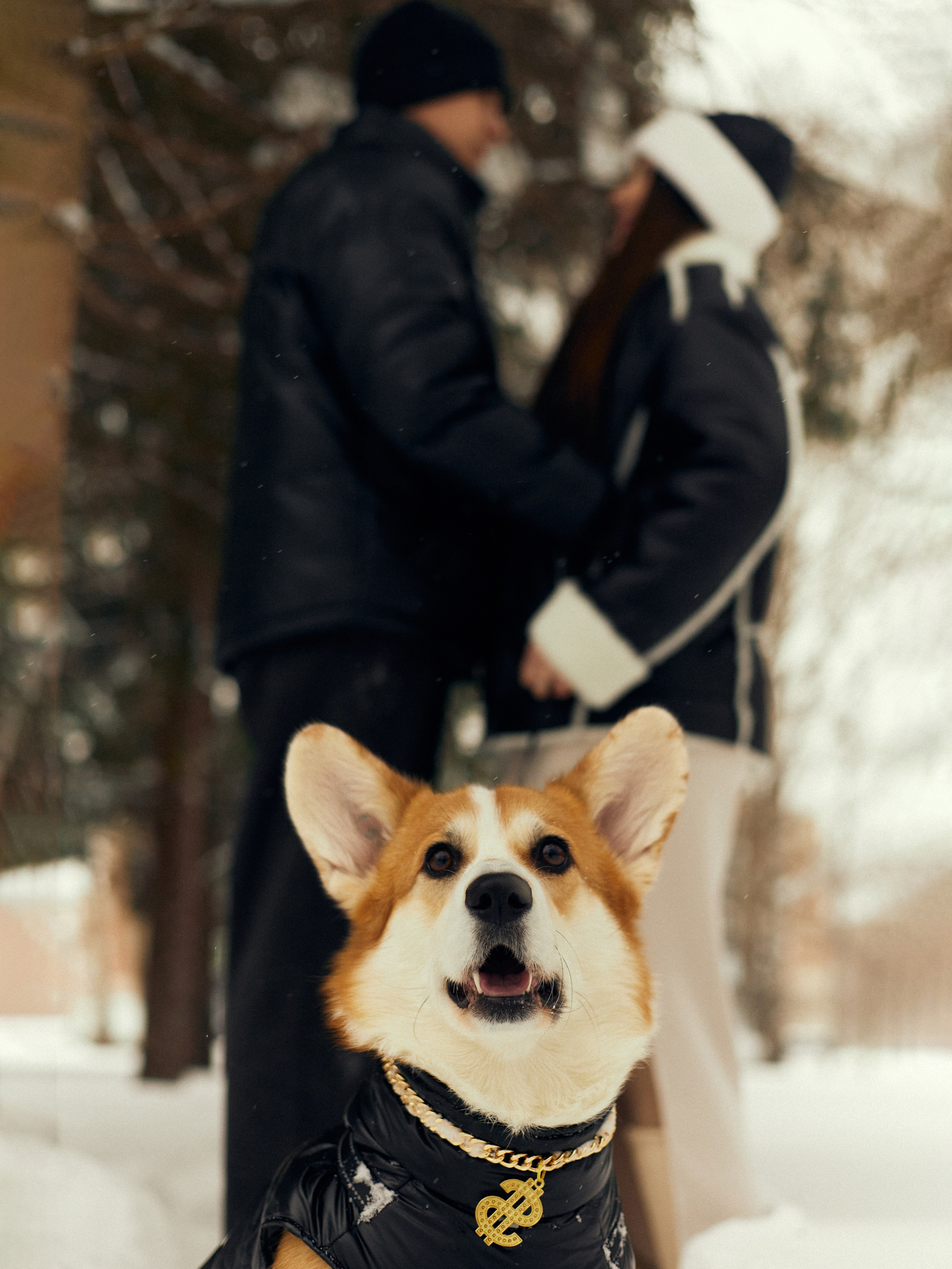 Арина и Динар малыш Рич. Фотограф и видеограф в Бугульме Аня Трутнева