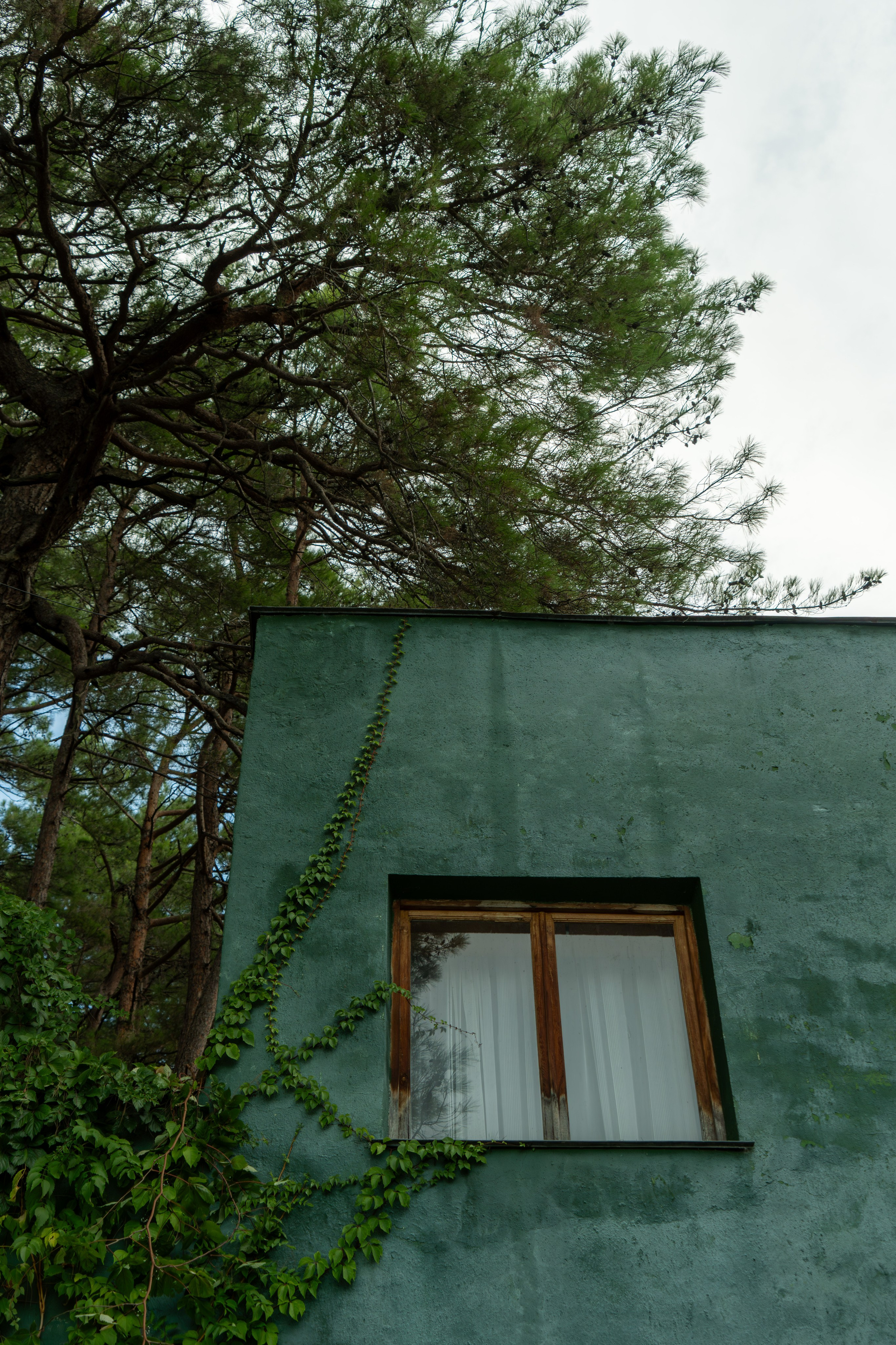 MICE мероприятие — тур по Абхазии. Репортажный фотограф в Красной Поляне и Сочи Павлюченко Екатерина