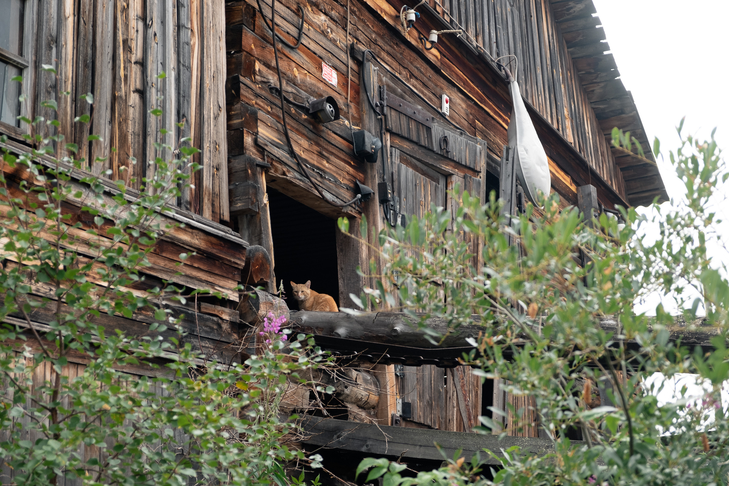 Backstage — Съёмка в Умбе. Репортаж — Бэки — Портреты. Москва, СПб. Алексей Назаров