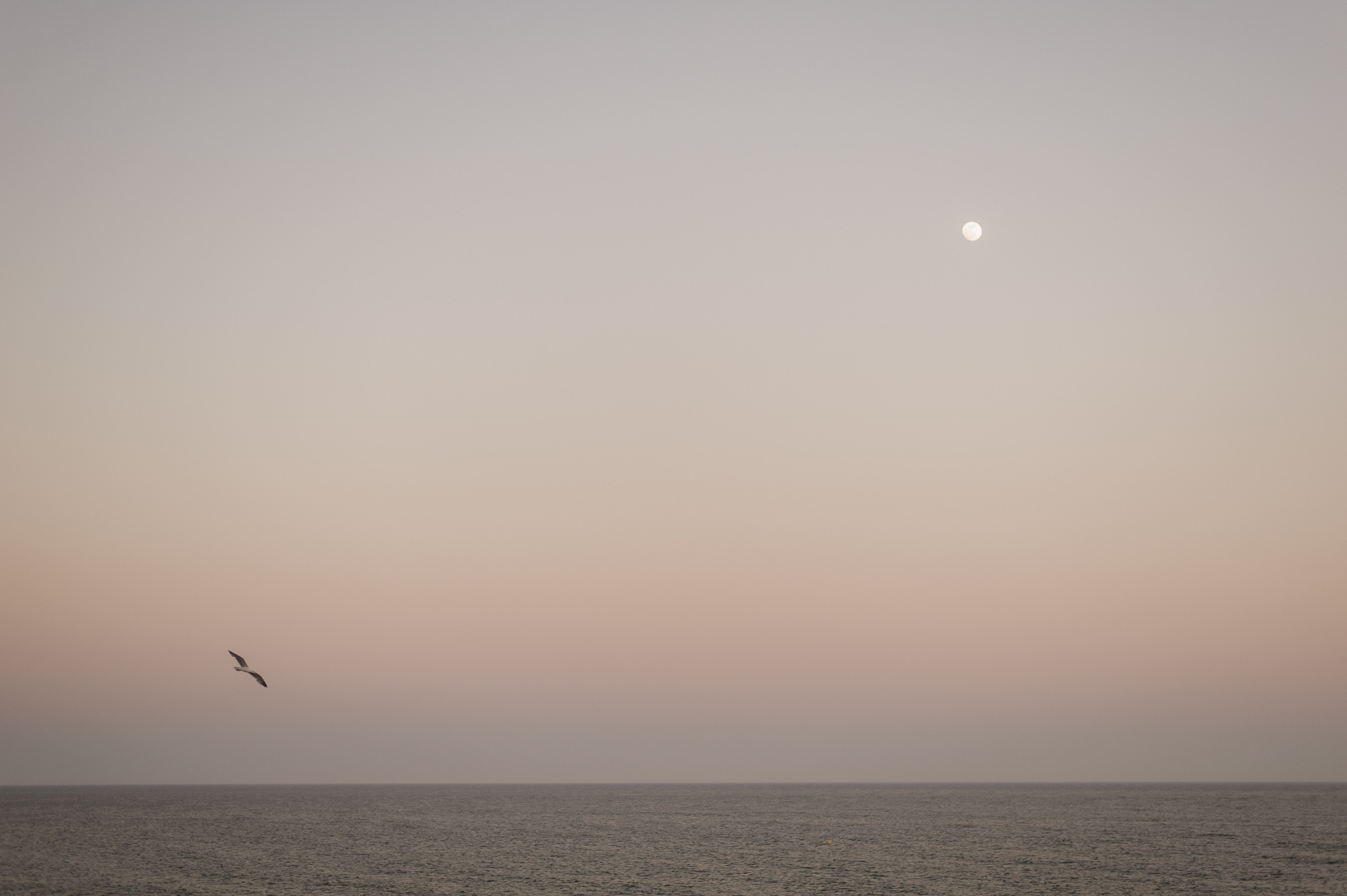 Репортаж в отпуске. Репортаж — Бэки — Портреты. Москва, СПб. Алексей Назаров