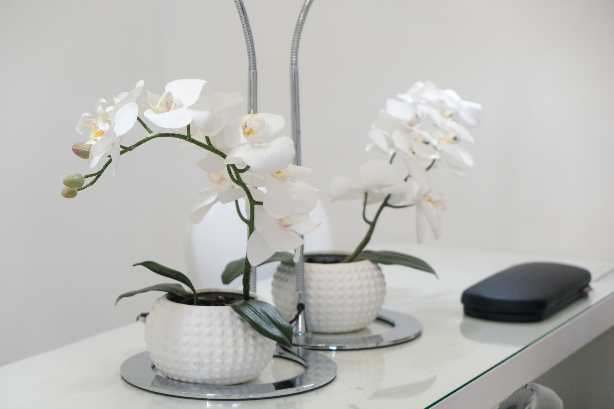 Beauty Colony — декор LOOK in DEKOR. Репортаж — Бэки — Портреты. Москва, СПб. Алексей Назаров