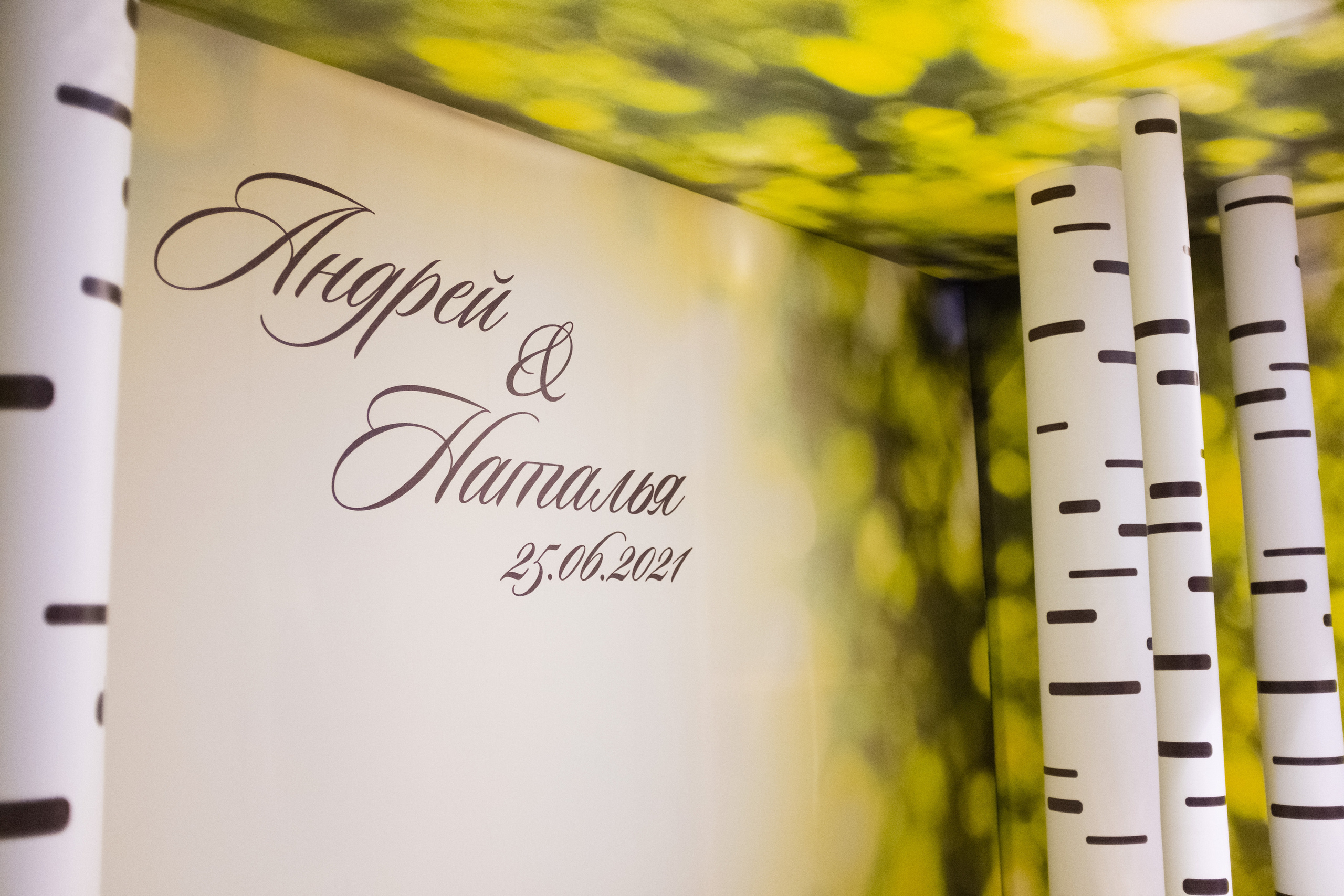 Birch Wedding — декор LOOK in DEKOR. Репортаж — Бэки — Портреты. Москва, СПб. Алексей Назаров