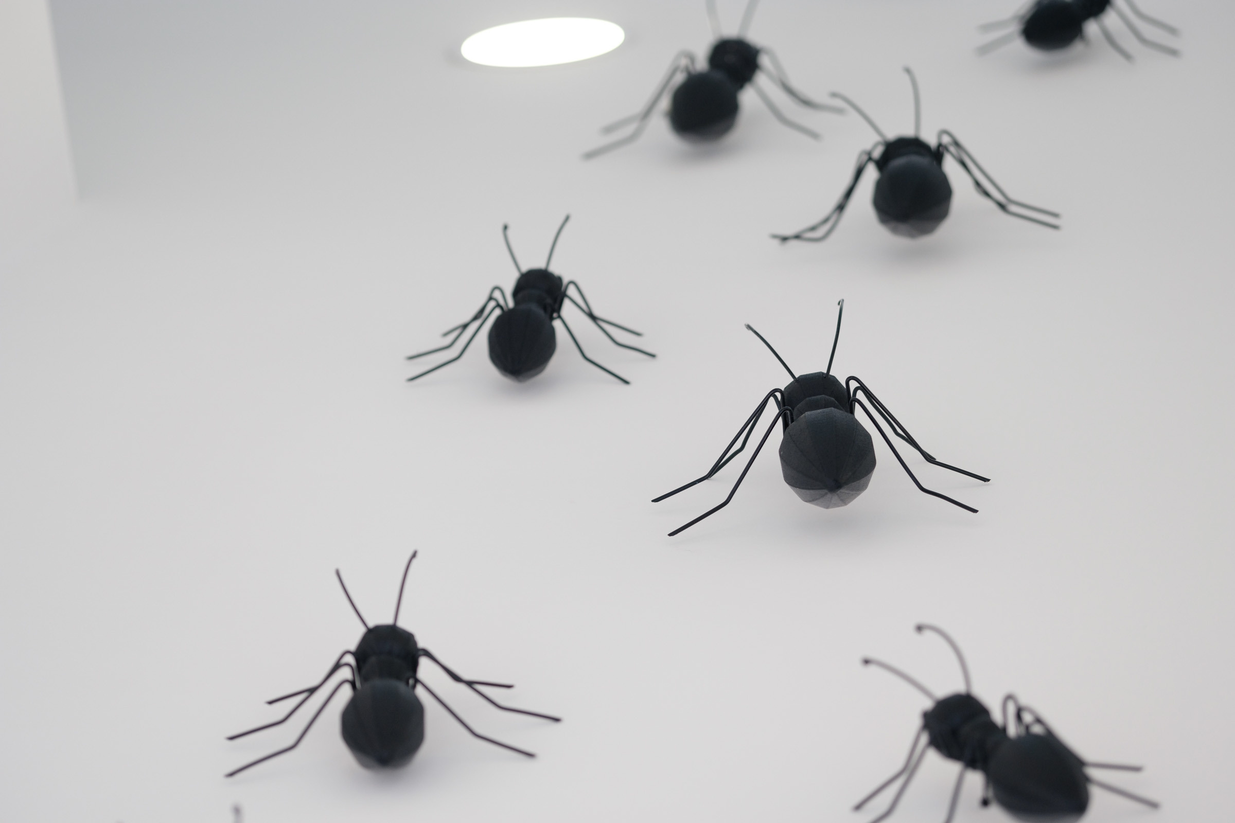 Beauty Colony — декор LOOK in DEKOR. Репортаж — Бэки — Портреты. Москва, СПб. Алексей Назаров