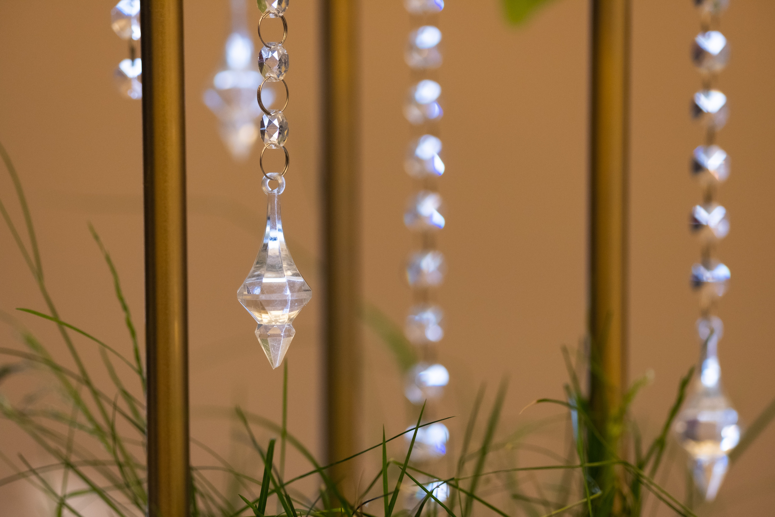 Birch Wedding — декор LOOK in DEKOR. Репортаж — Бэки — Портреты. Москва, СПб. Алексей Назаров