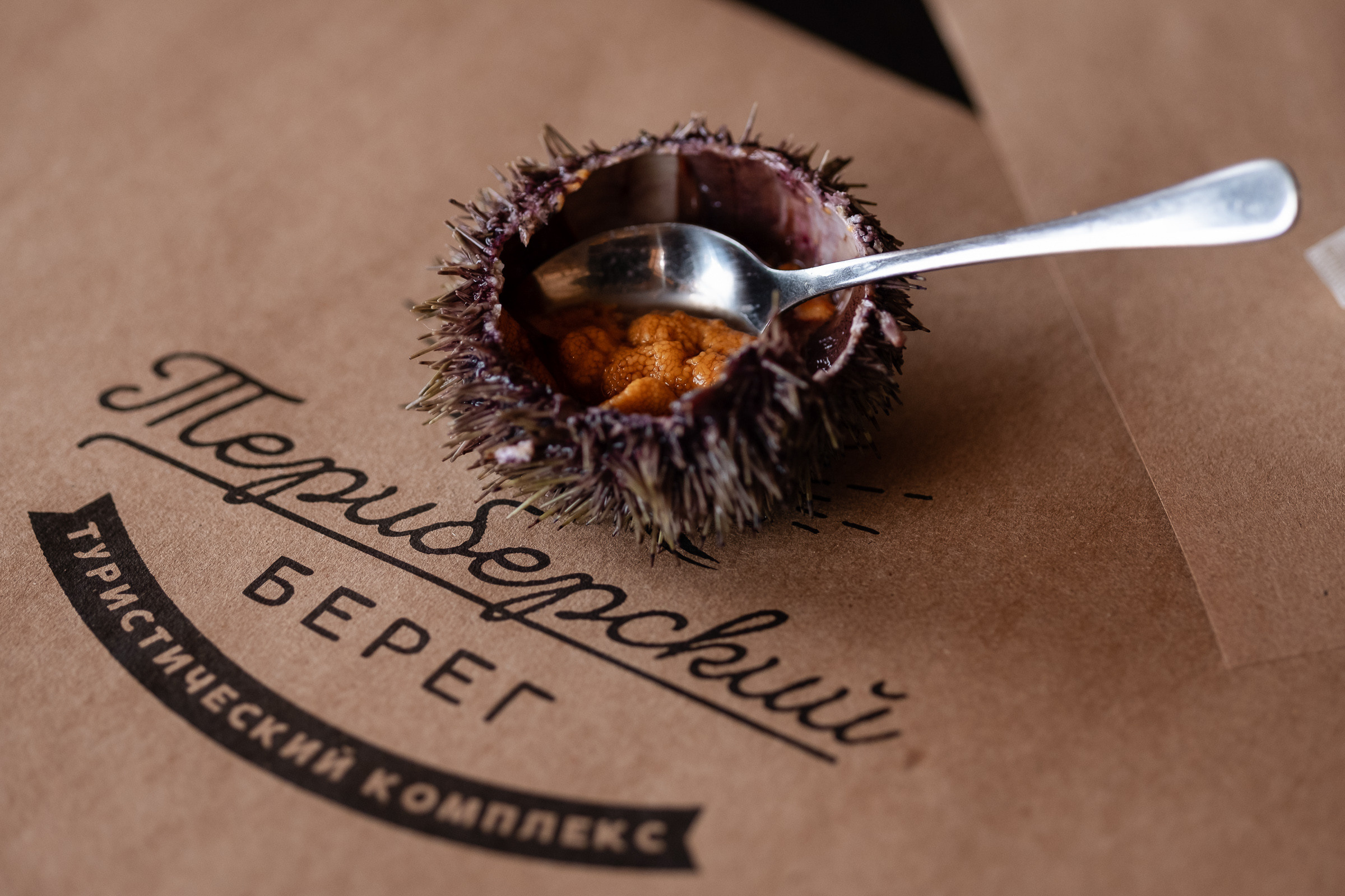 Репортаж — туризм в Териберке. Репортаж — Бэки — Портреты. Москва, СПб. Алексей Назаров