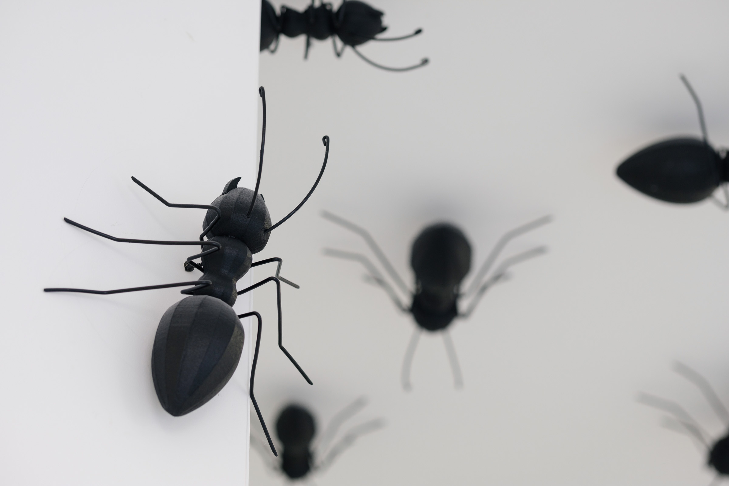 Beauty Colony — декор LOOK in DEKOR. Репортаж — Бэки — Портреты. Москва, СПб. Алексей Назаров