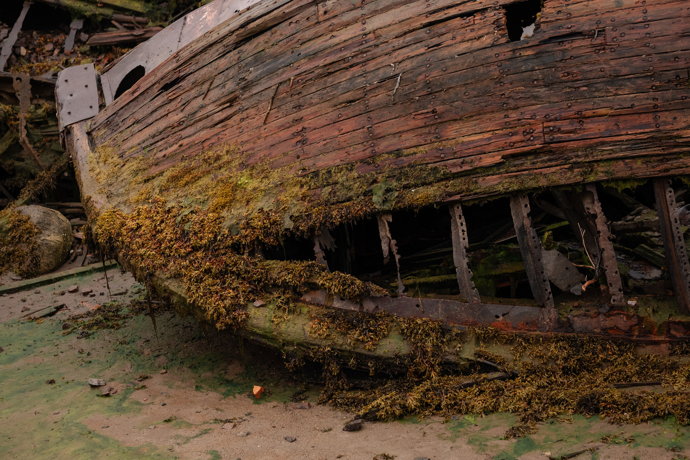 Репортаж — туризм в Териберке. Репортаж — Бэки — Портреты. Москва, СПб. Алексей Назаров