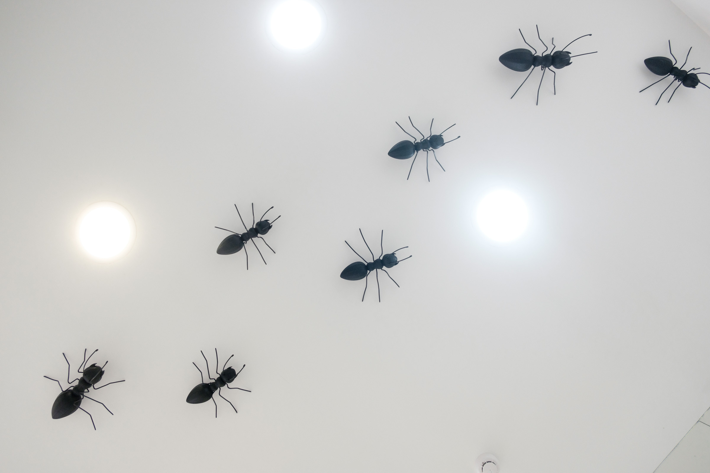 Beauty Colony — декор LOOK in DEKOR. Репортаж — Бэки — Портреты. Москва, СПб. Алексей Назаров