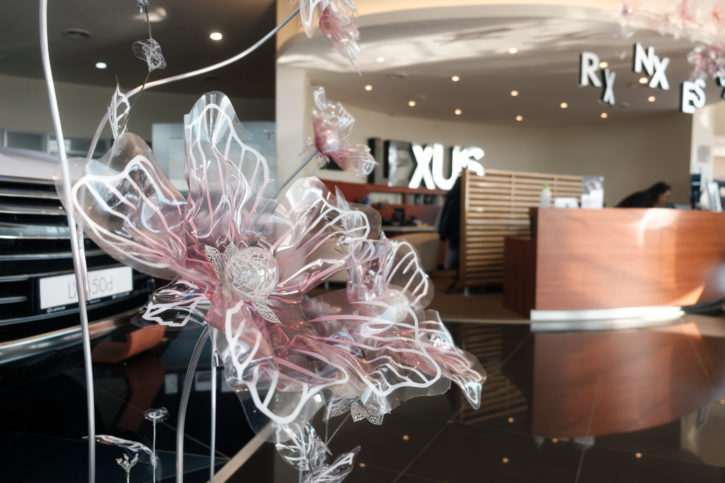 Салон Lexus — декор LOOK in DEKOR. Репортаж — Бэки — Портреты. Москва, СПб. Алексей Назаров