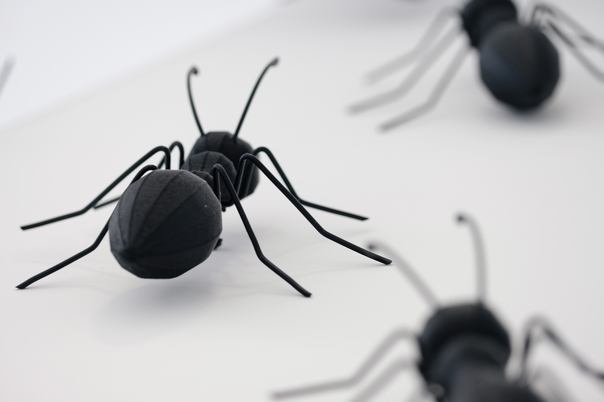 Beauty Colony — декор LOOK in DEKOR. Репортаж — Бэки — Портреты. Москва, СПб. Алексей Назаров