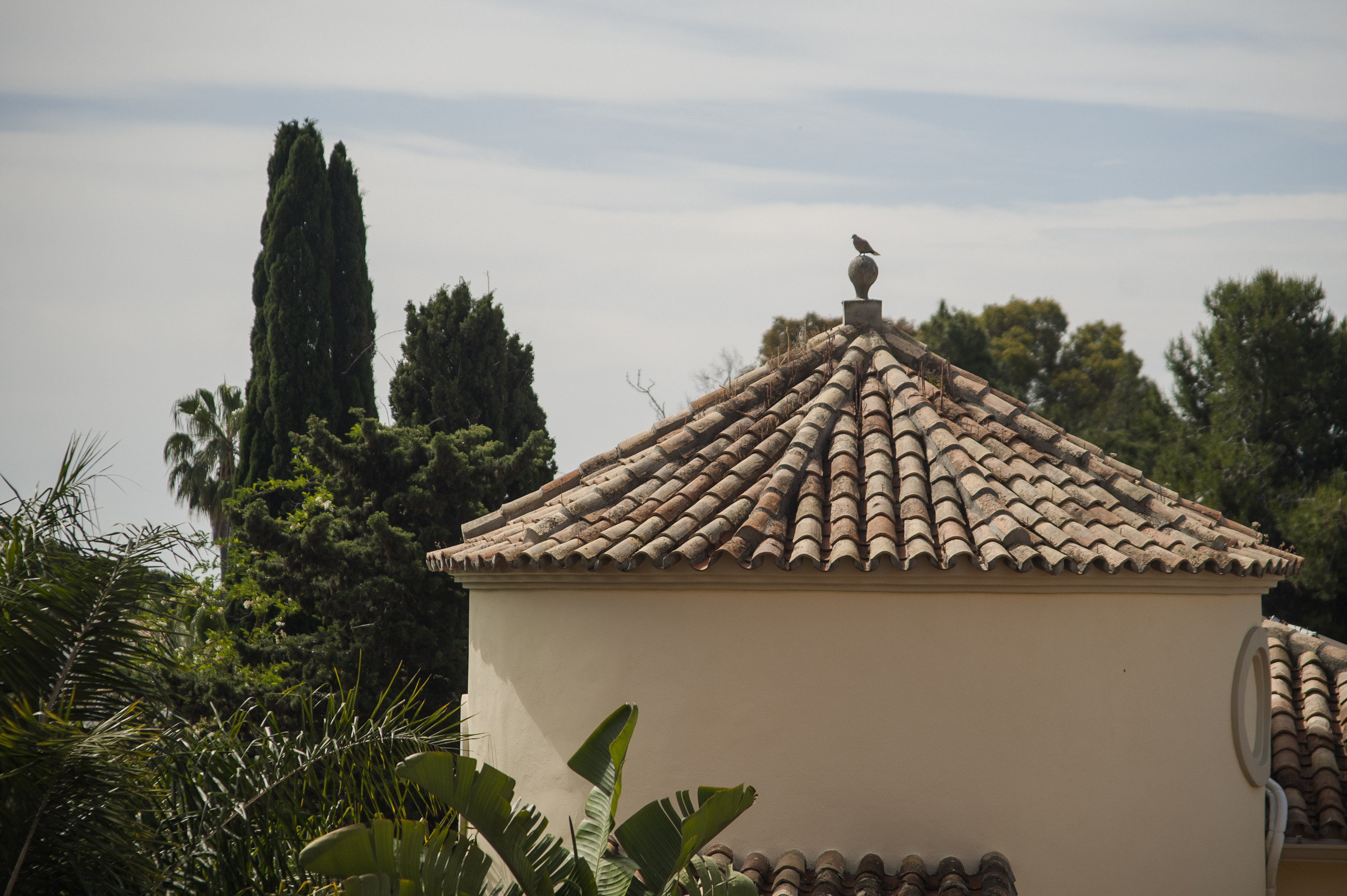 Репортаж в отпуске. Репортаж — Бэки — Портреты. Москва, СПб. Алексей Назаров