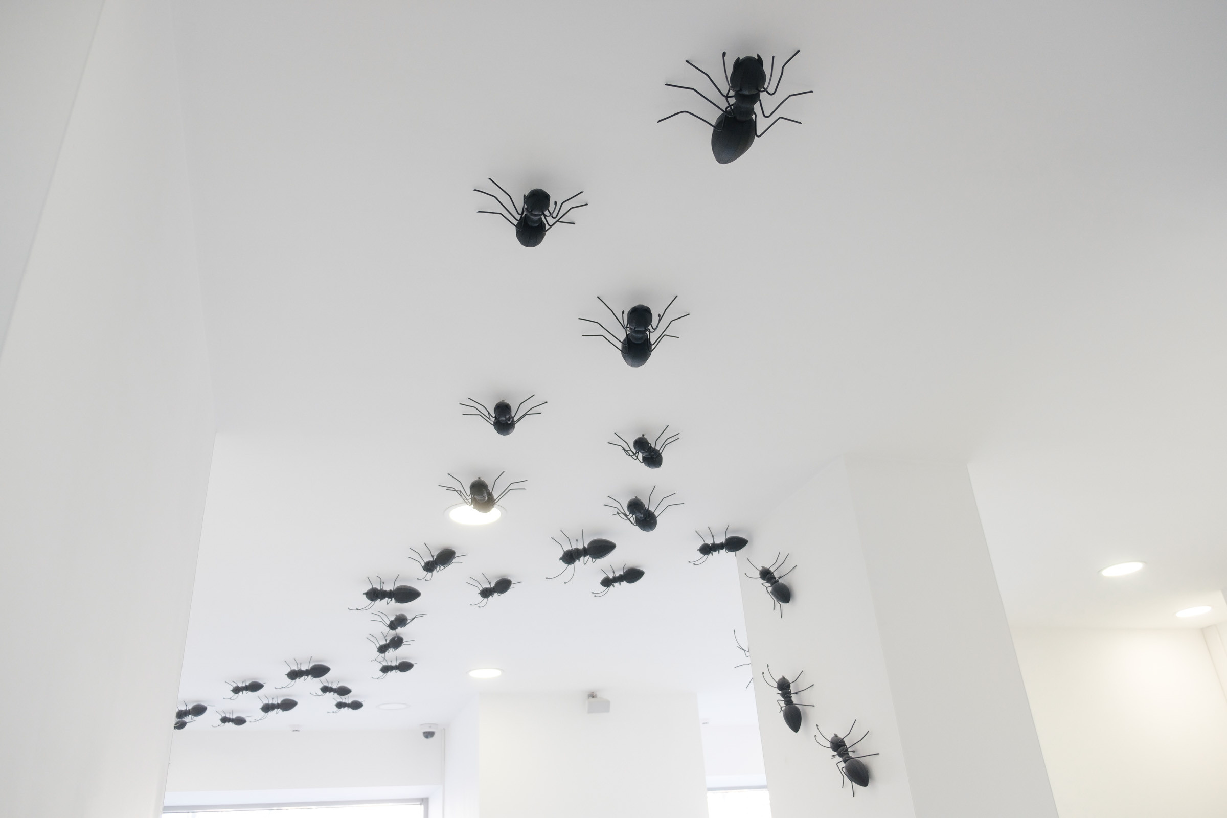 Beauty Colony — декор LOOK in DEKOR. Репортаж — Бэки — Портреты. Москва, СПб. Алексей Назаров