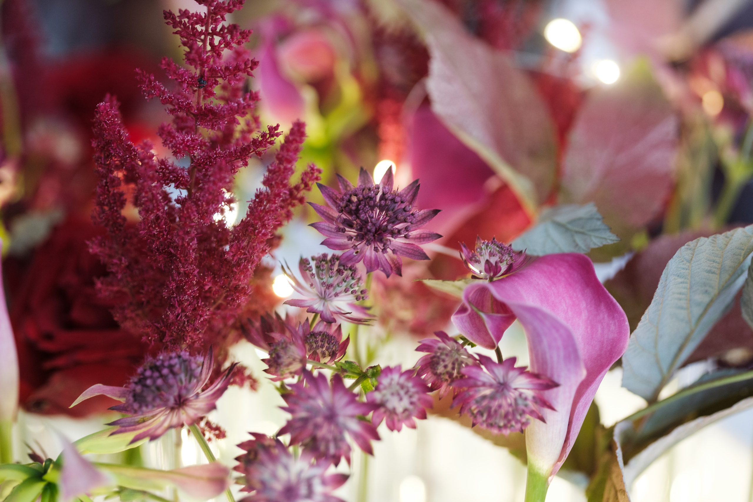 Flower Wedding — декор LOOK in DEKOR. Репортаж — Бэки — Портреты. Москва, СПб. Алексей Назаров