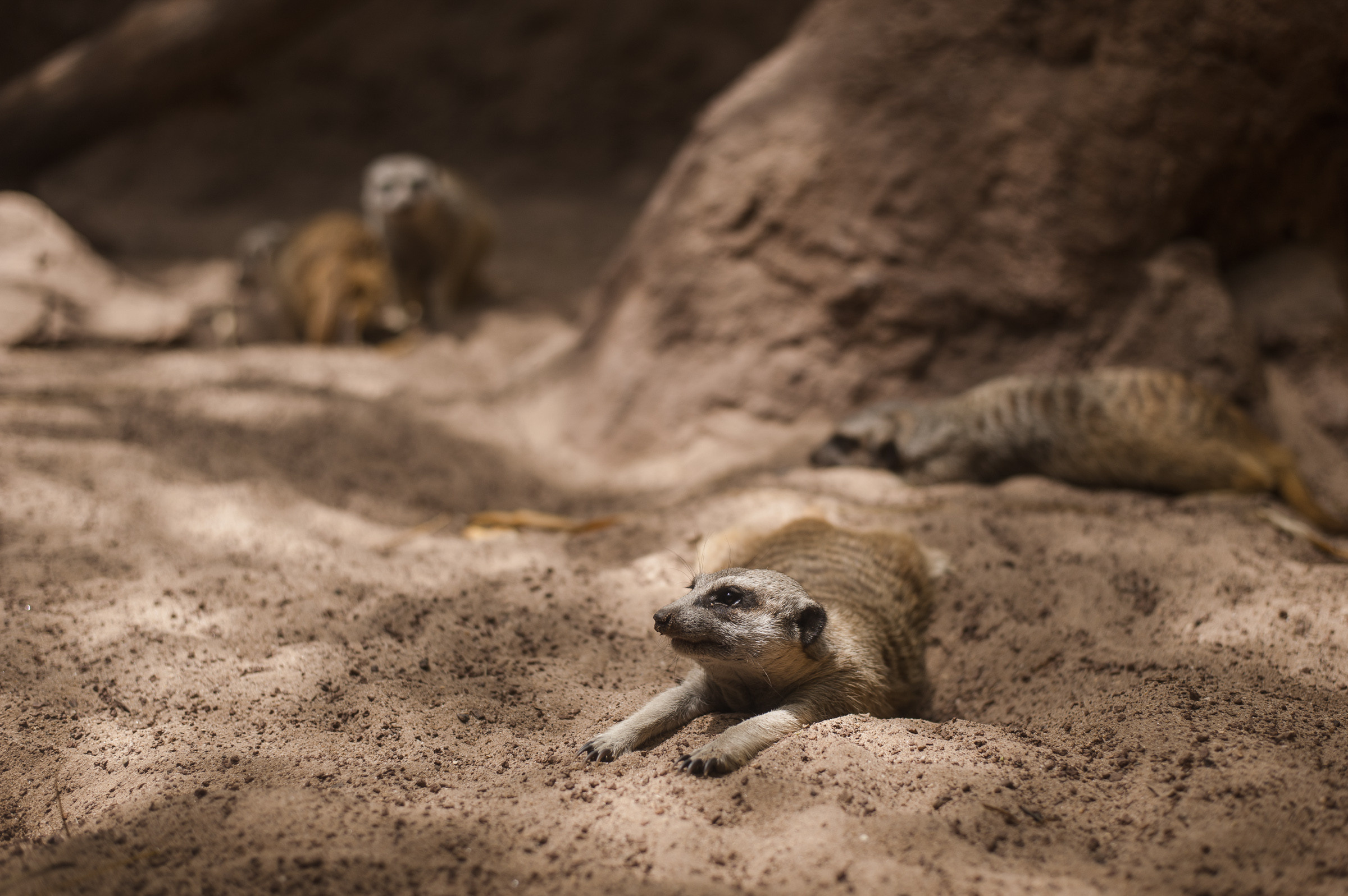 Репортаж в отпуске. Репортаж — Бэки — Портреты. Москва, СПб. Алексей Назаров