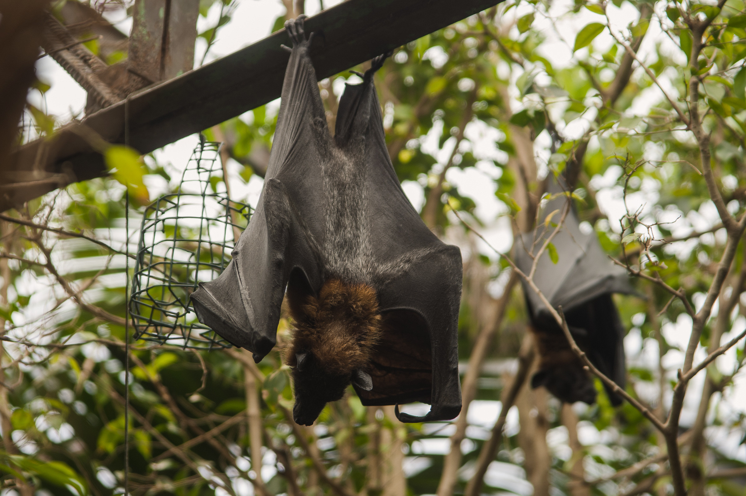 Репортаж в отпуске. Репортаж — Бэки — Портреты. Москва, СПб. Алексей Назаров