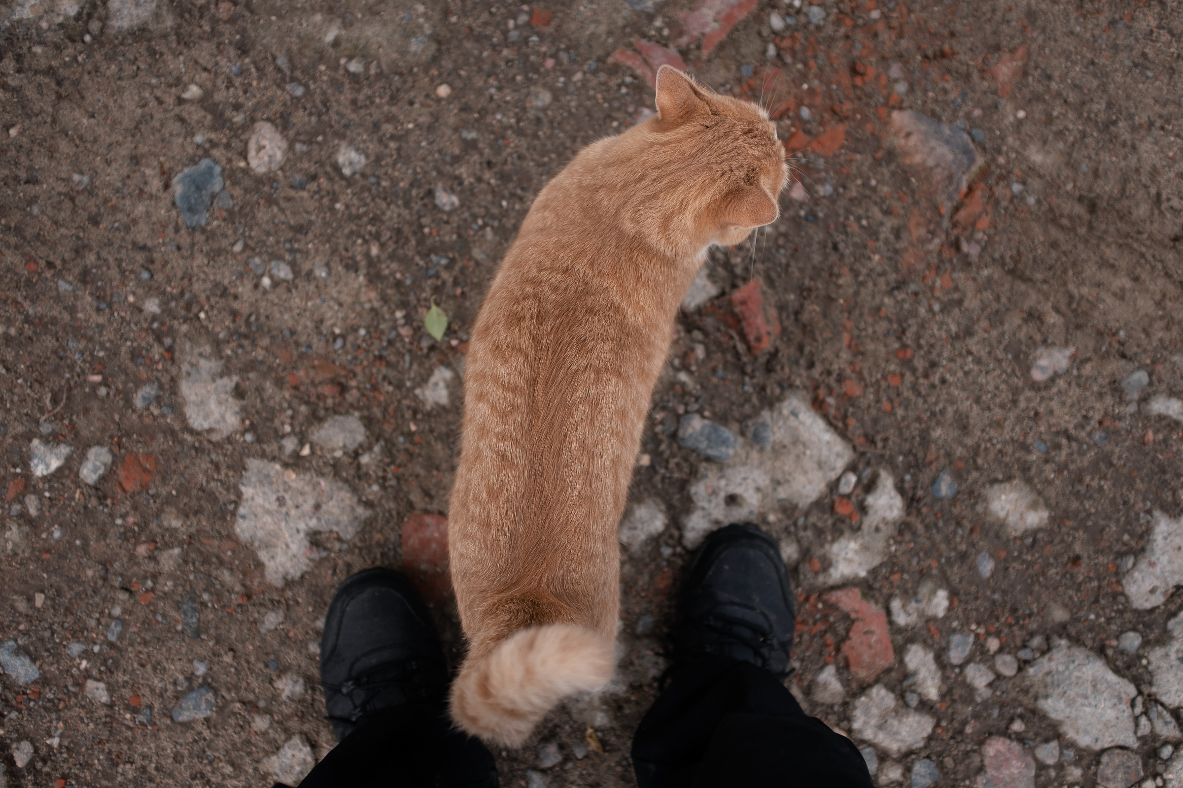 Backstage — Съёмка в Умбе. Репортаж — Бэки — Портреты. Москва, СПб. Алексей Назаров