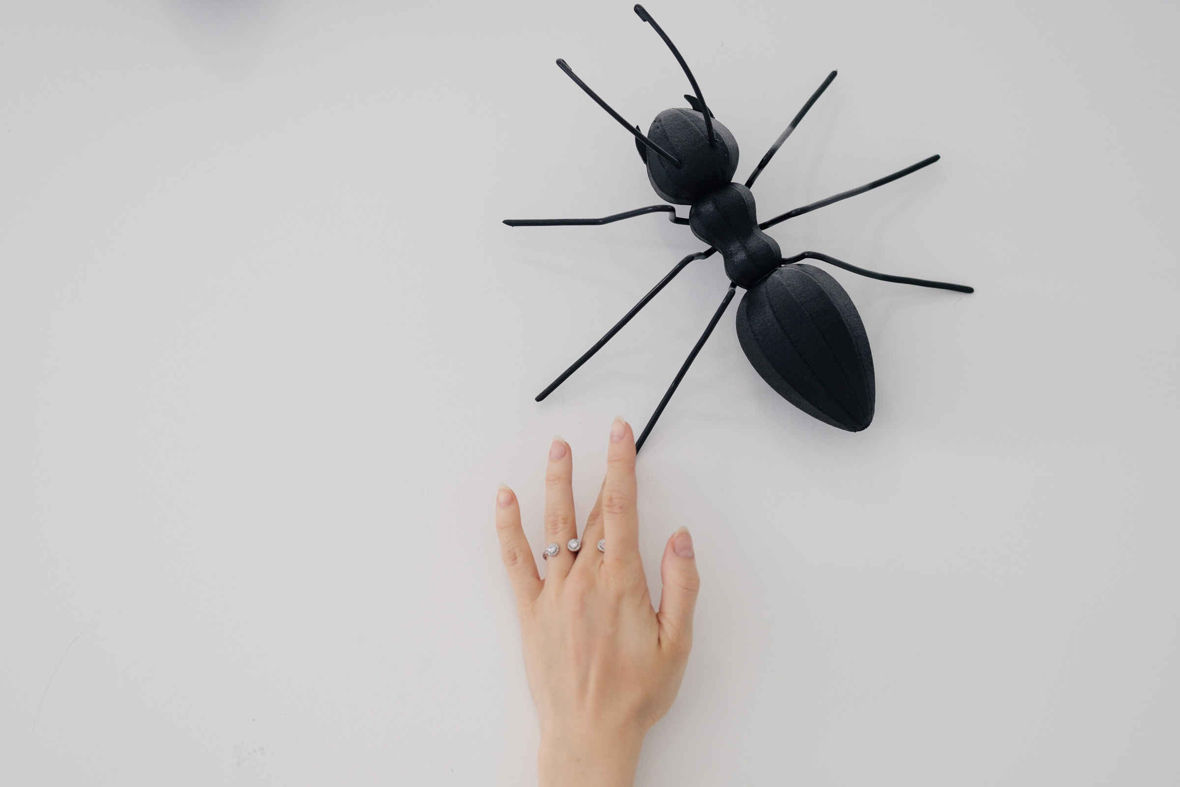 Beauty Colony — декор LOOK in DEKOR. Репортаж — Бэки — Портреты. Москва, СПб. Алексей Назаров