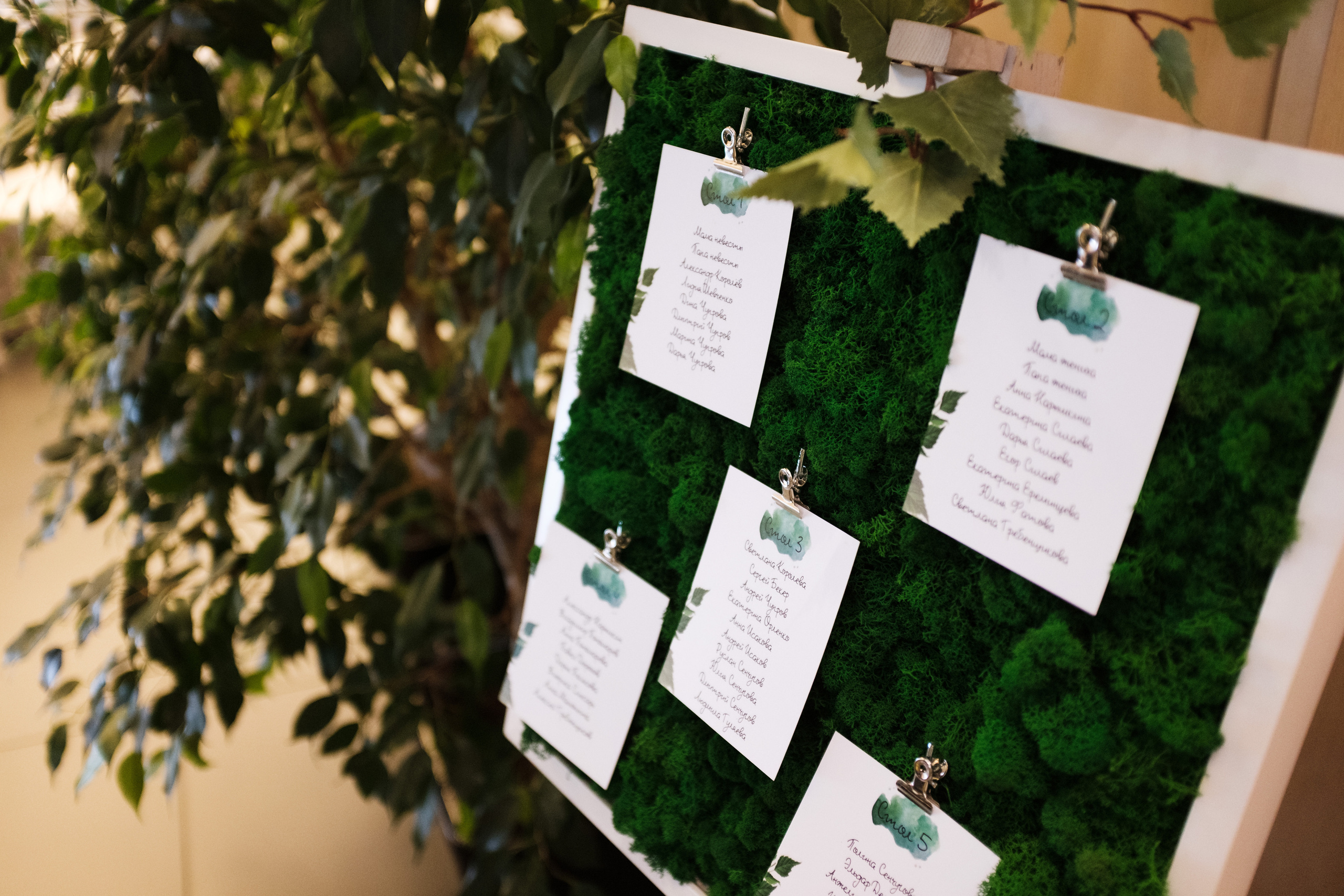 Birch Wedding — декор LOOK in DEKOR. Репортаж — Бэки — Портреты. Москва, СПб. Алексей Назаров