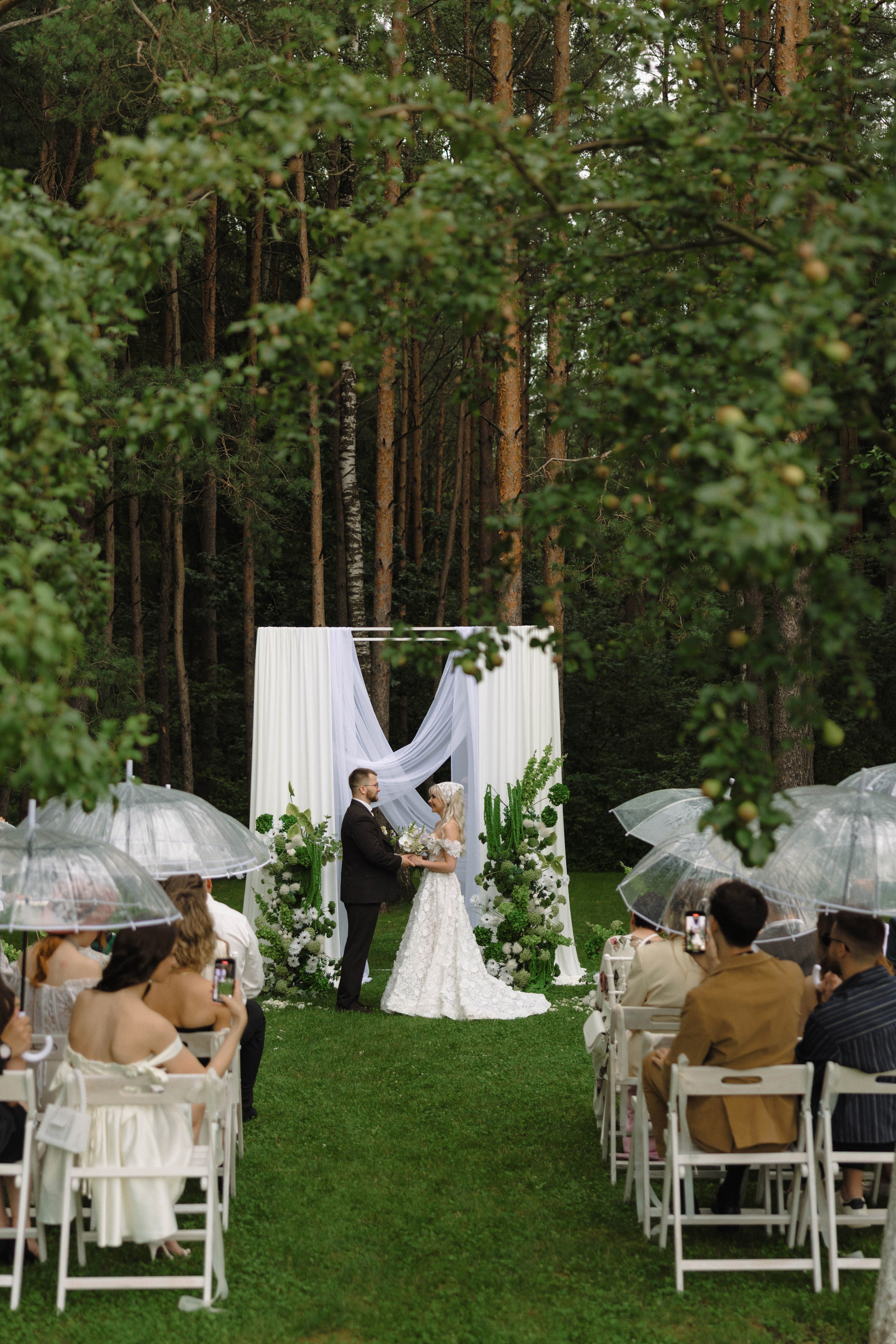 Зеленый сад