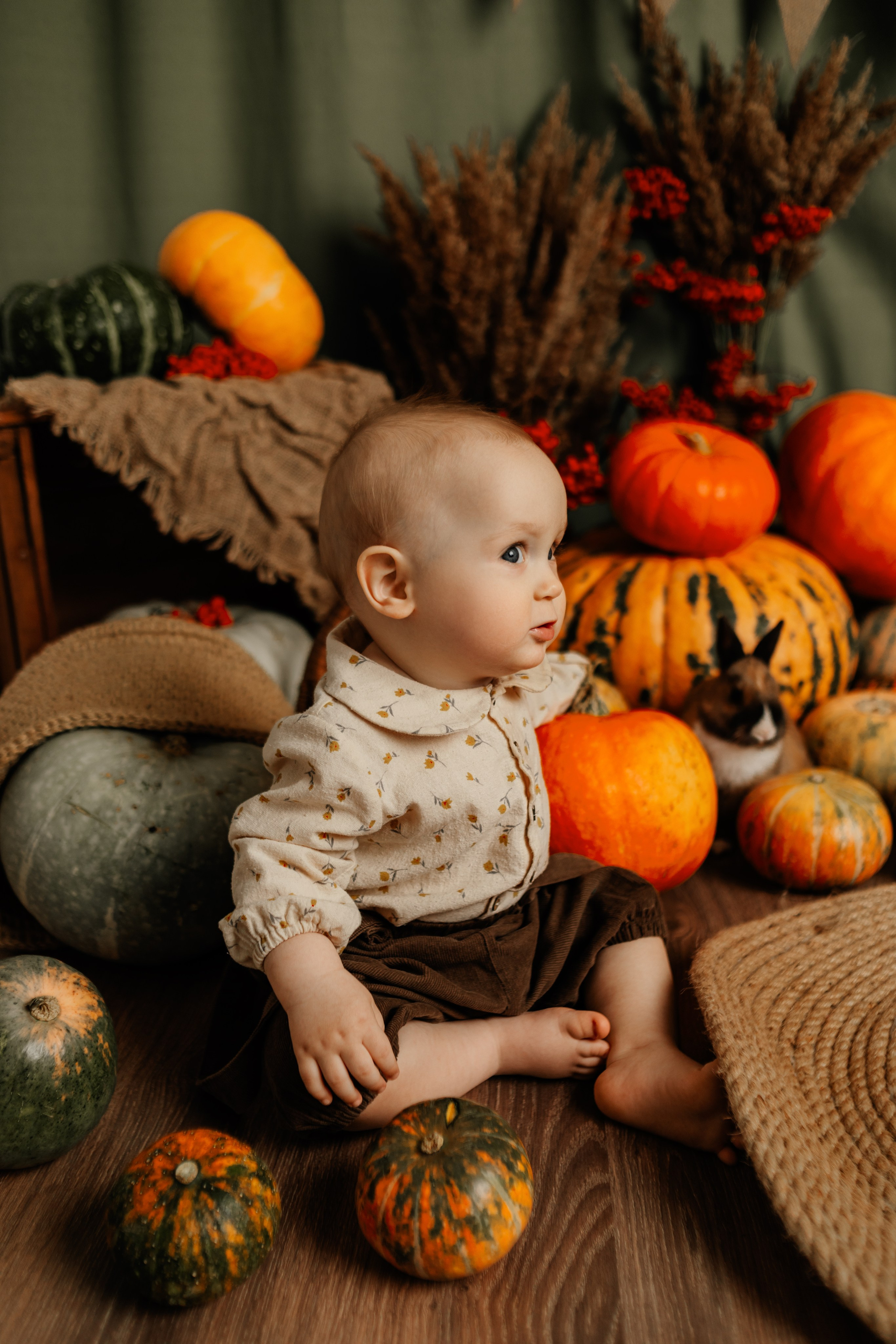 Фотопроекты. Фотограф новорождённых семейный фотограф Томск Елена Каплина