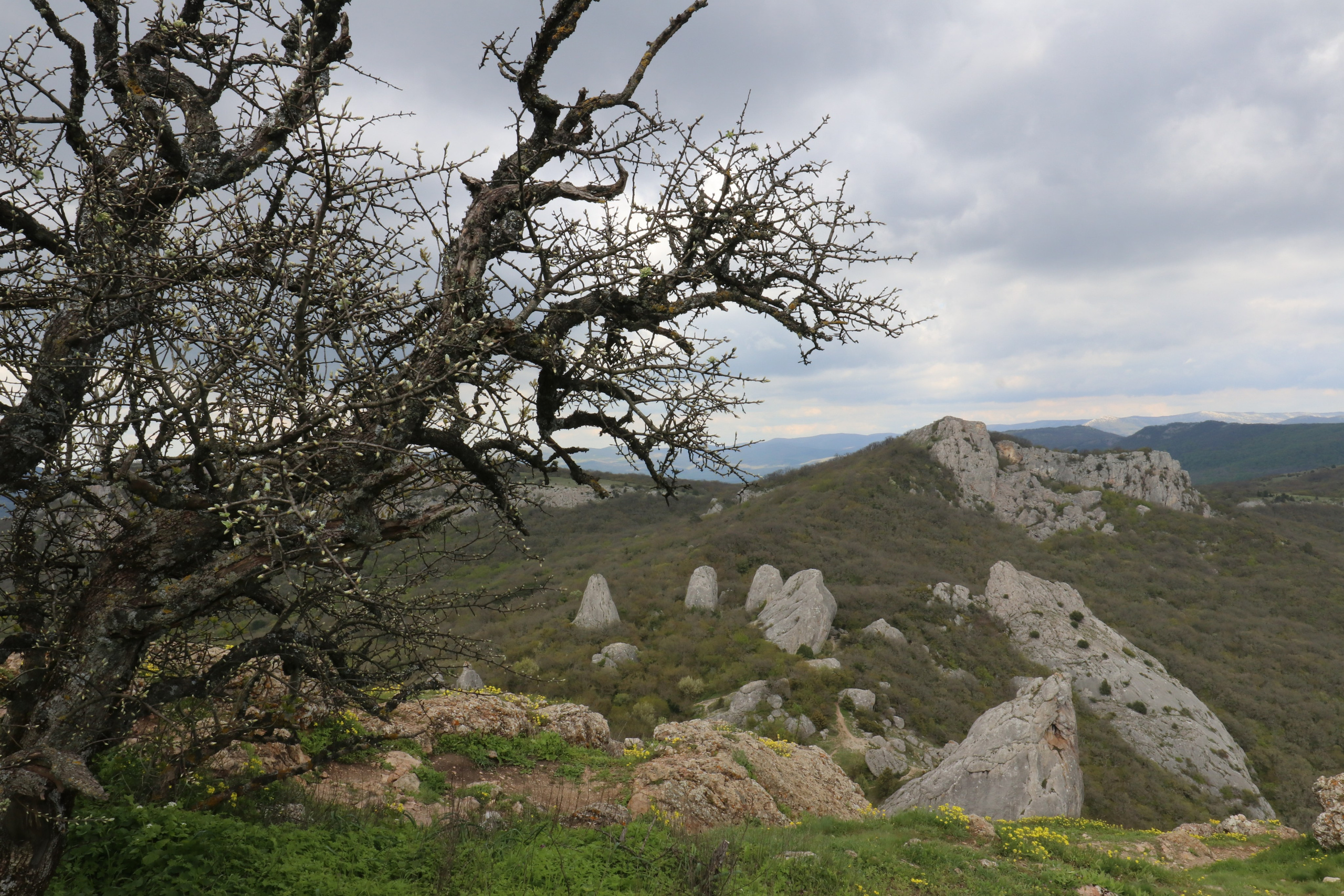 Крым. ЮБК (Севастополь, Кастрополь, Ялта). Май 2023. Путешественник-фотограф из Санкт-Петербурга Татьяна Свистулина